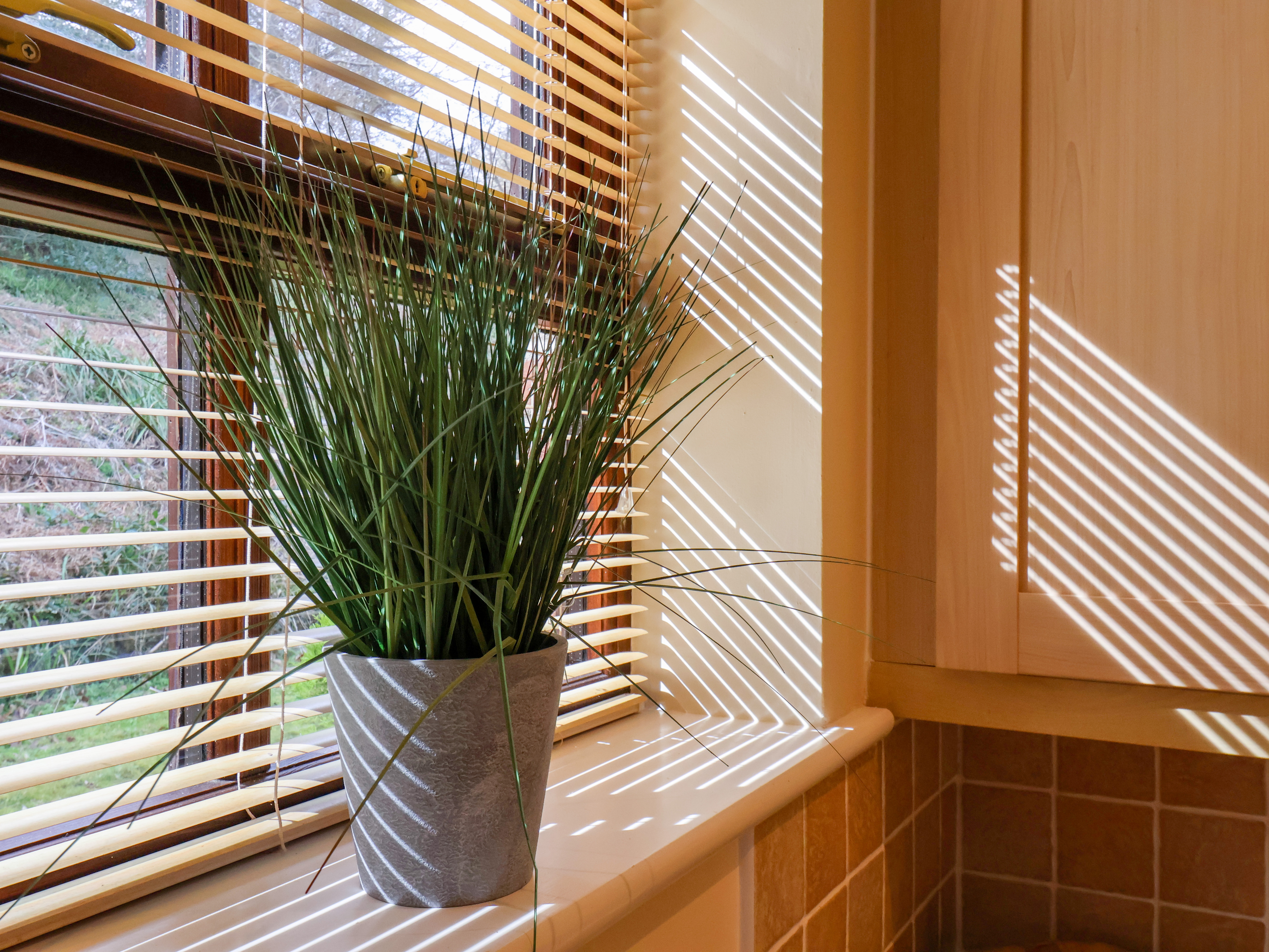 Property image 17 for SC1171339