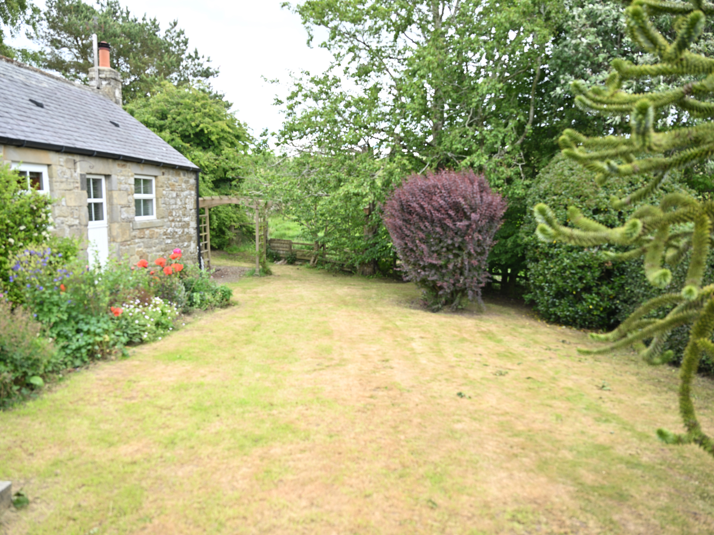 Property image 24 for SC1171631