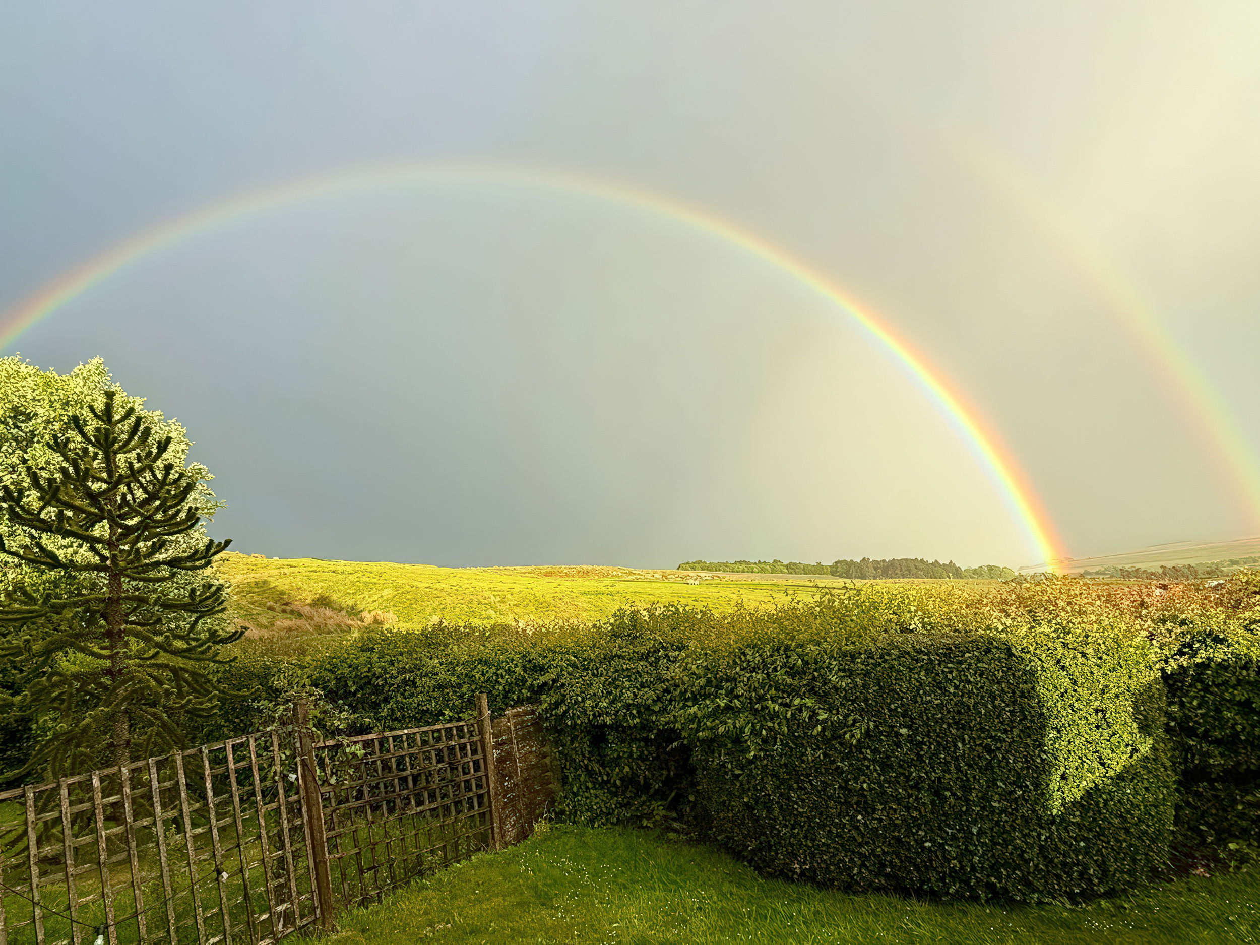 Property image 29 for SC1171631