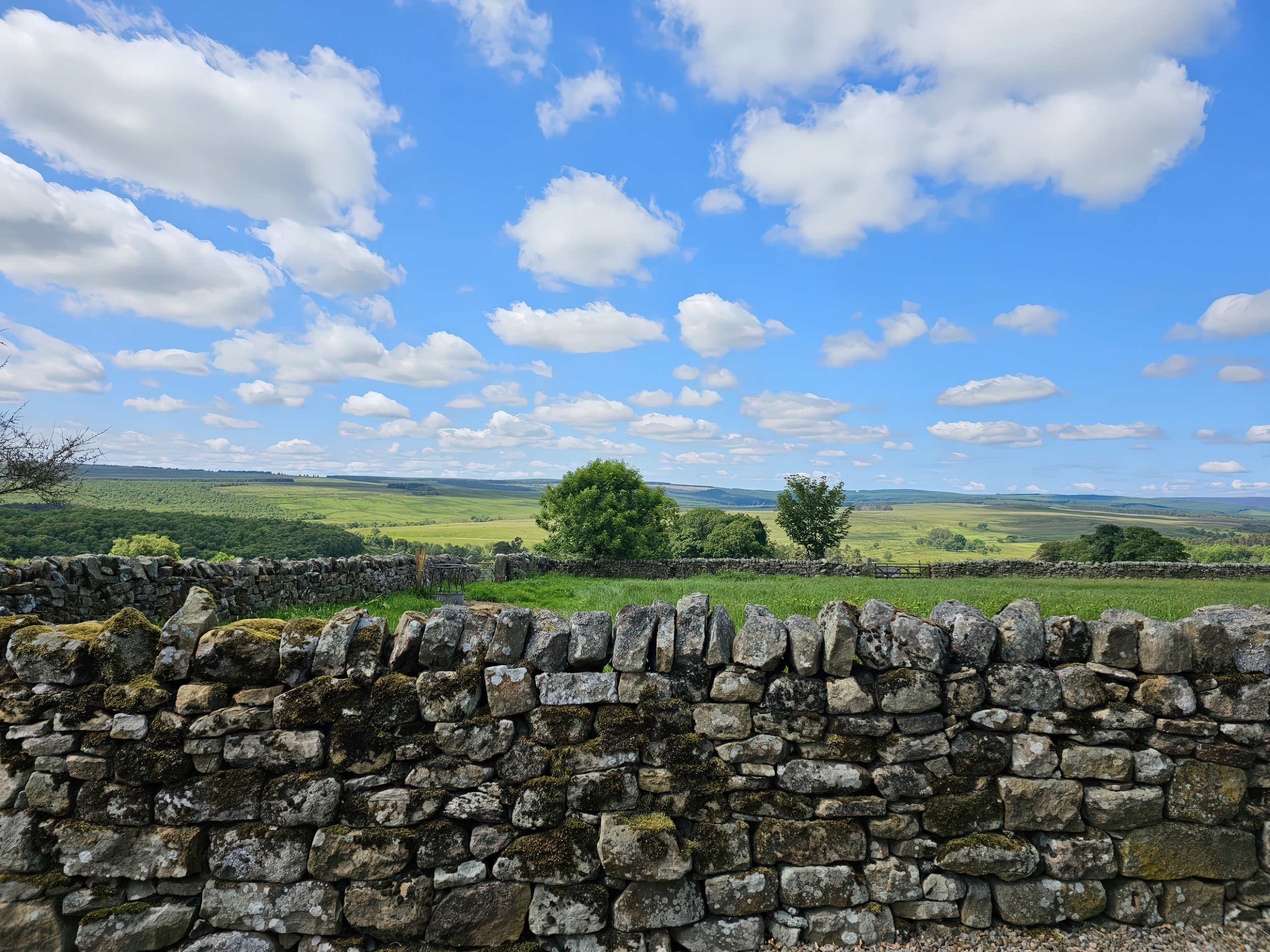 Property image 30 for SC1171631