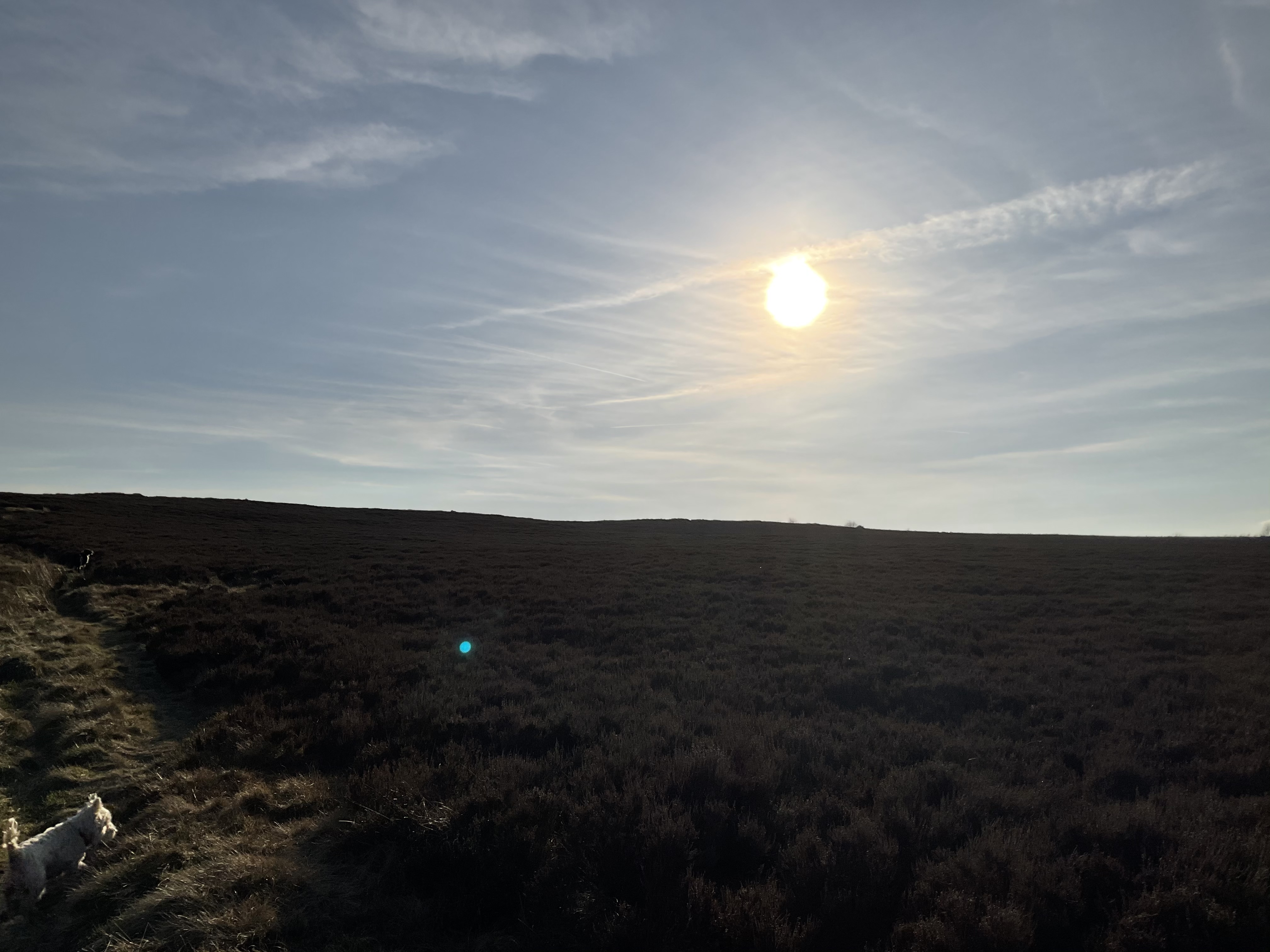 Property image 43 for SC1171816