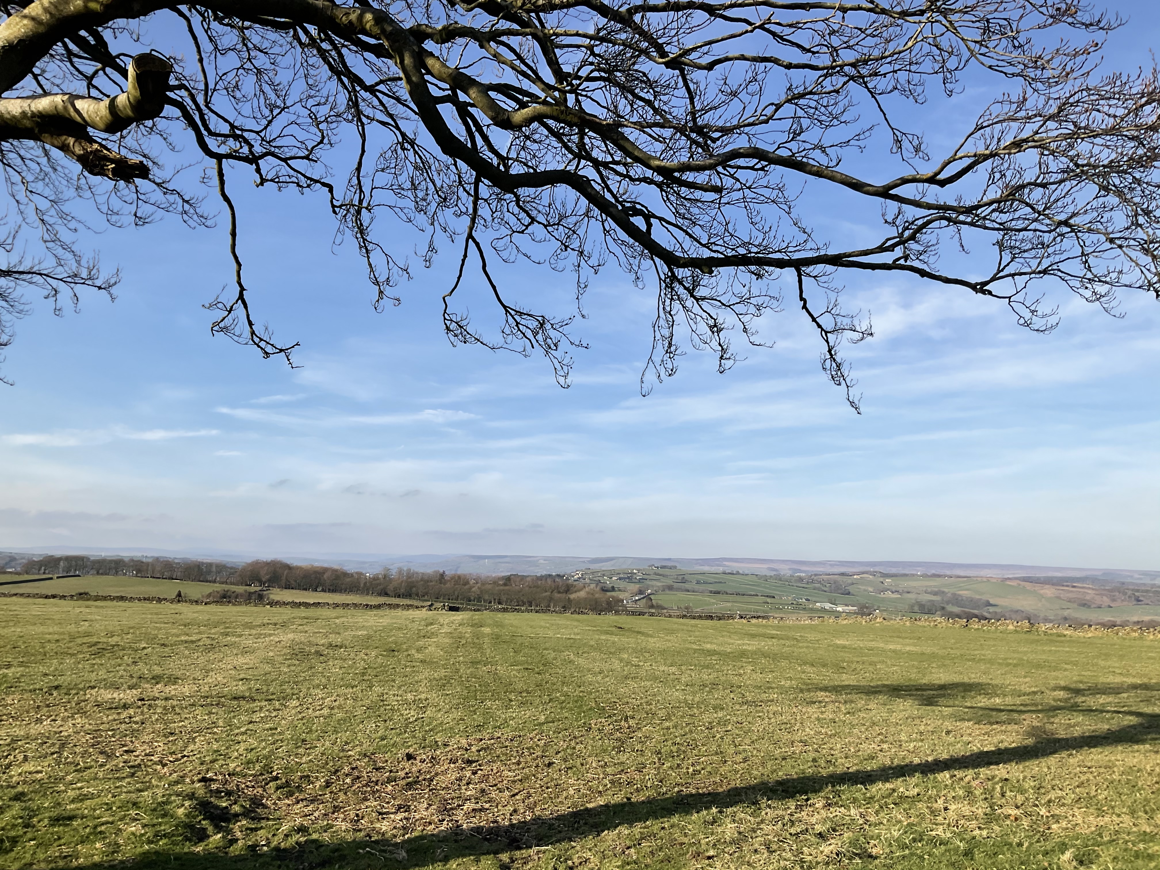 Property image 45 for SC1171816