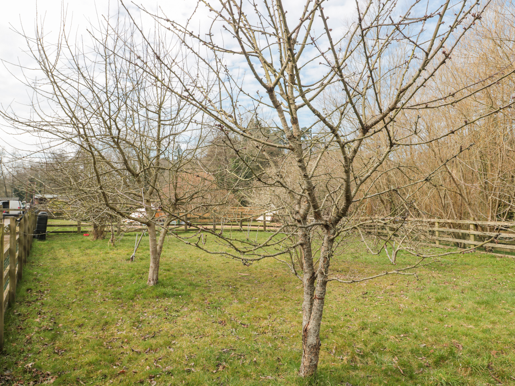 Property image 10 for SC1171860