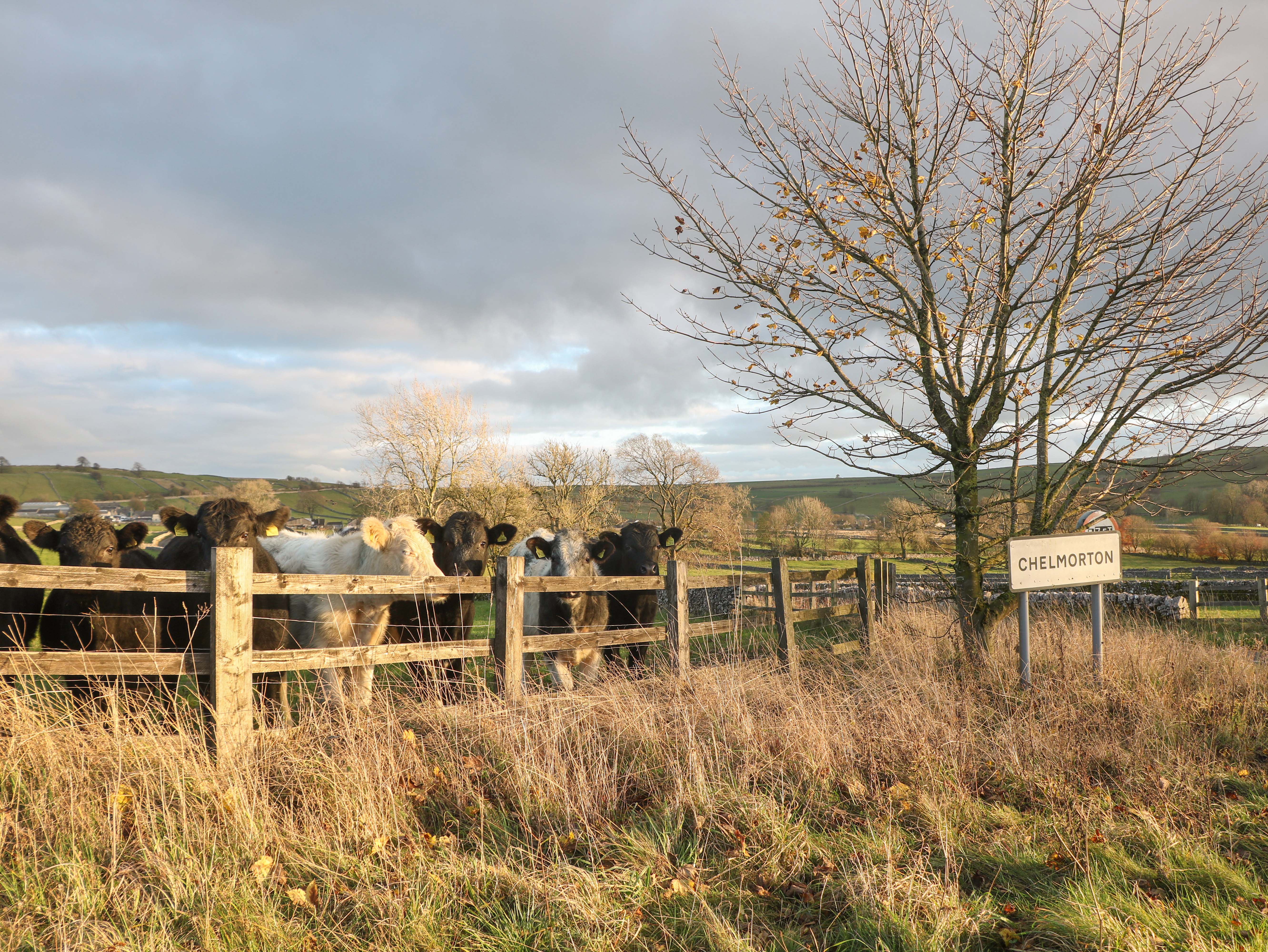 Property image 22 for SC1171893