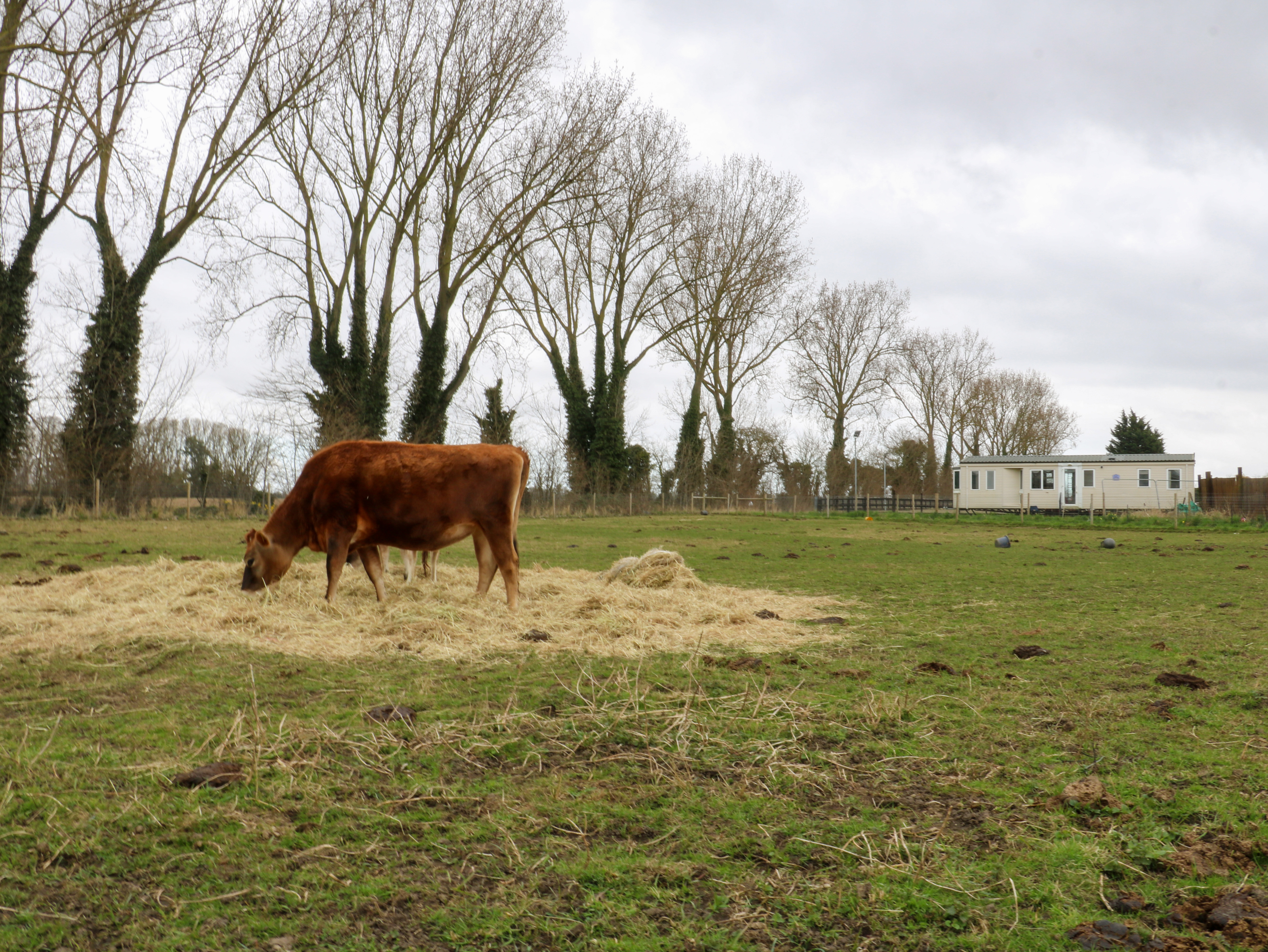 Property image 14 for SC1171956