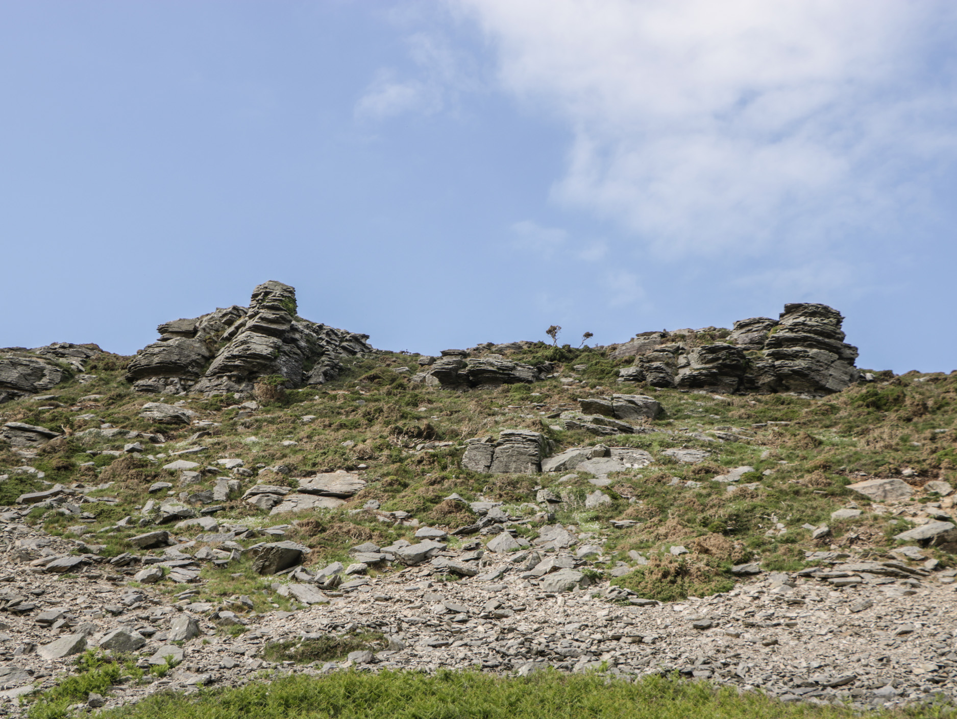 Property image 35 for SC1172159