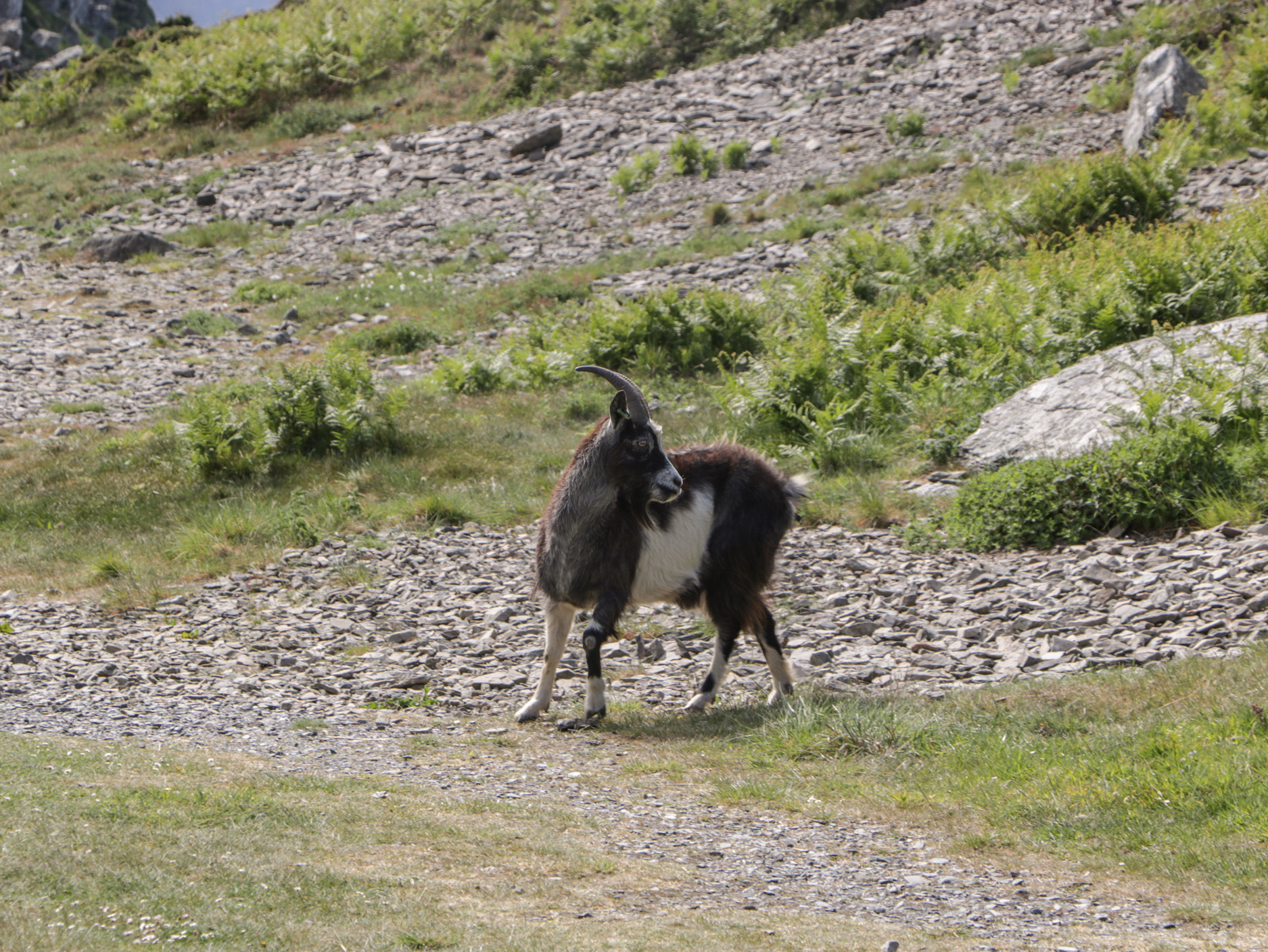 Property image 38 for SC1172159