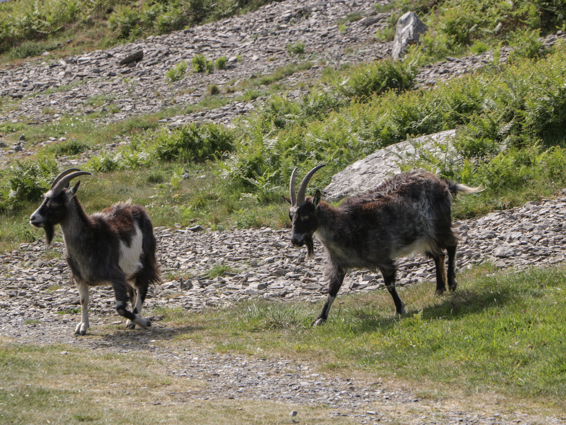 Property image 39 for SC1172159