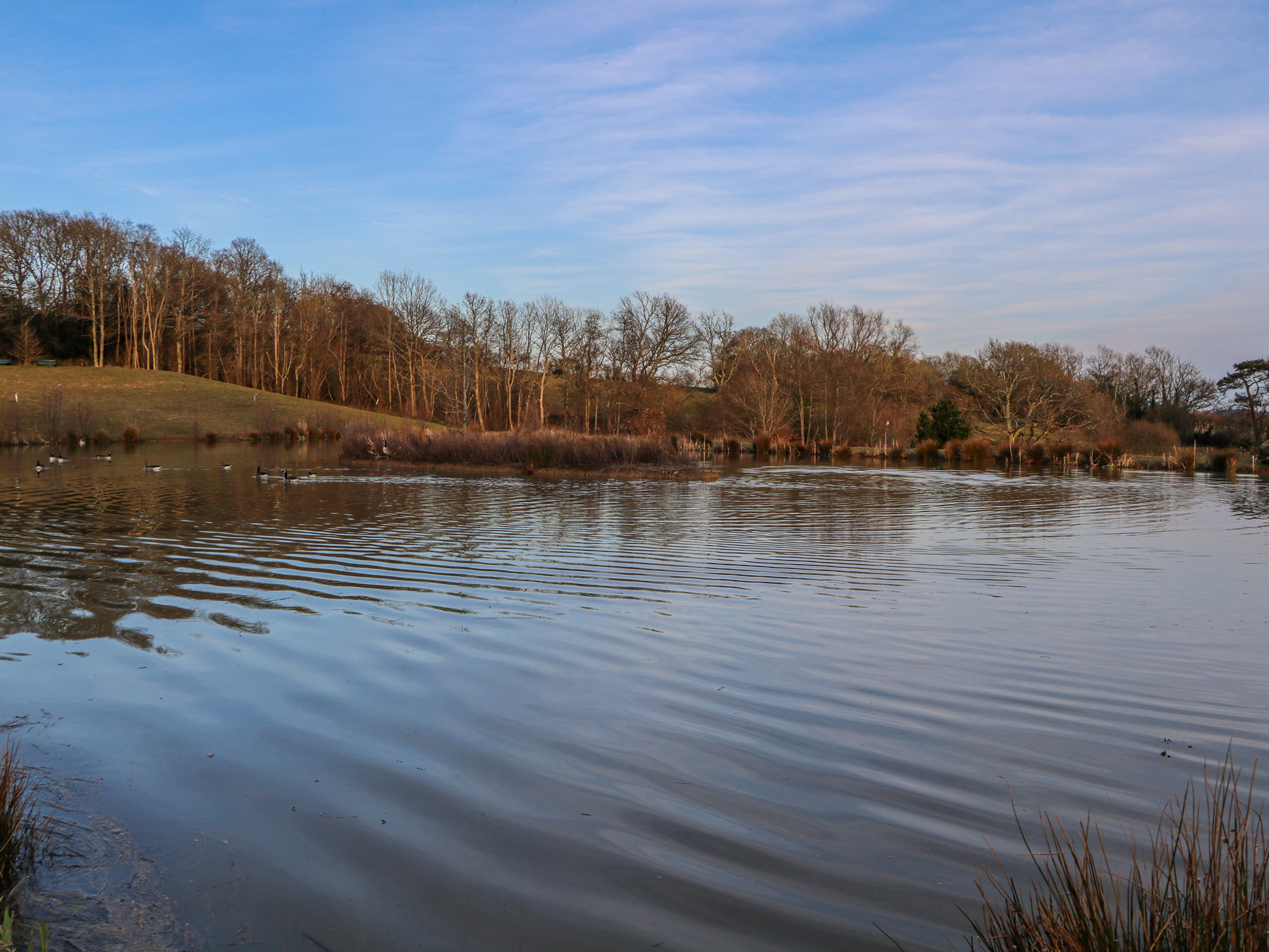 Property image 11 for SC1172202