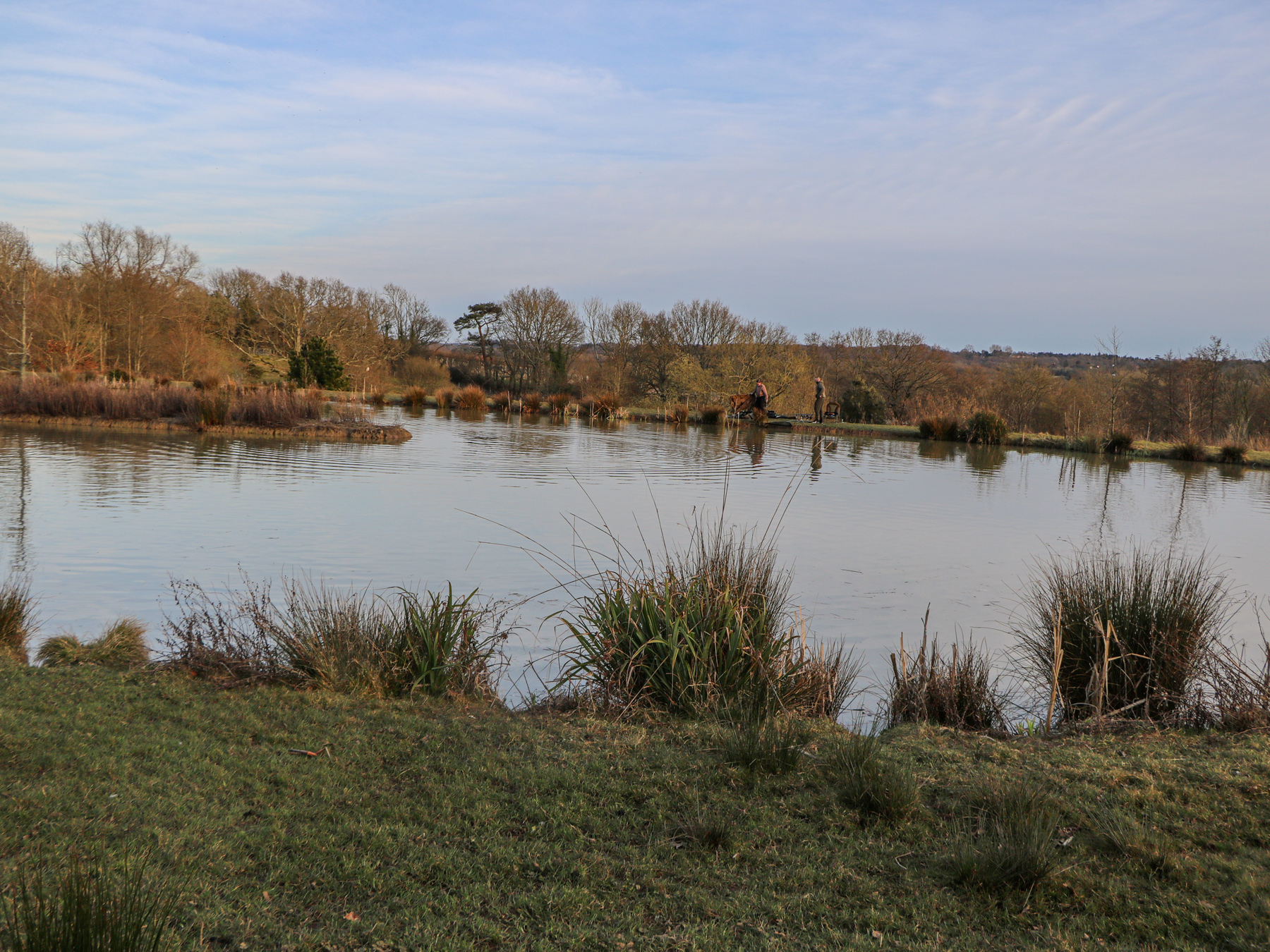 Property image 12 for SC1172202