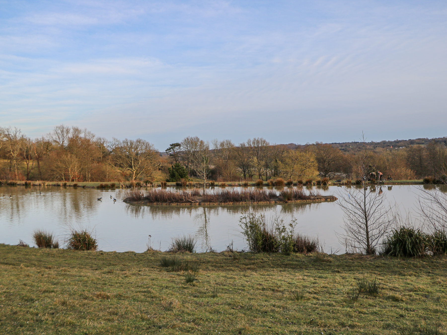 Property image 13 for SC1172202