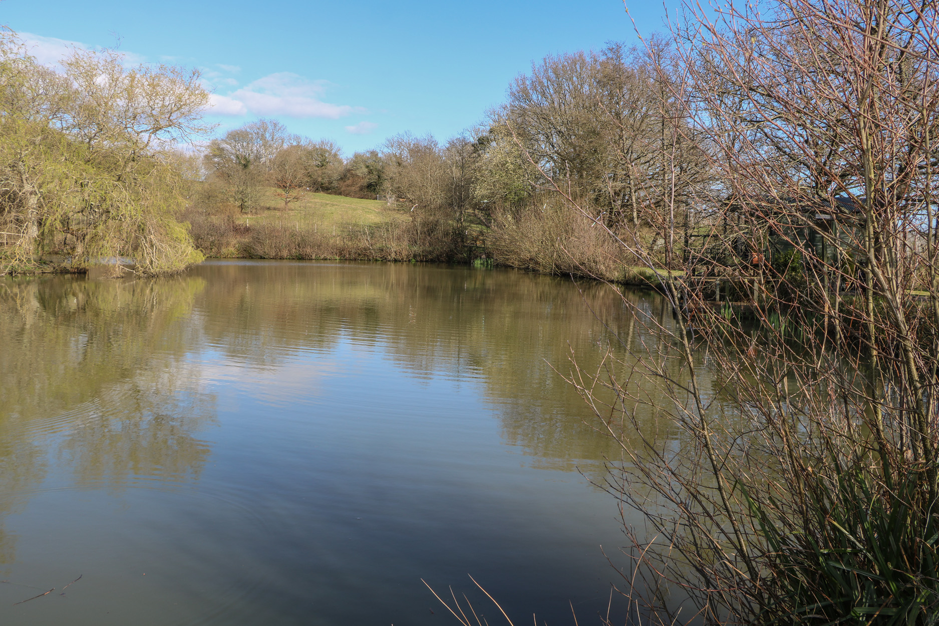 Property image 13 for SC1172203