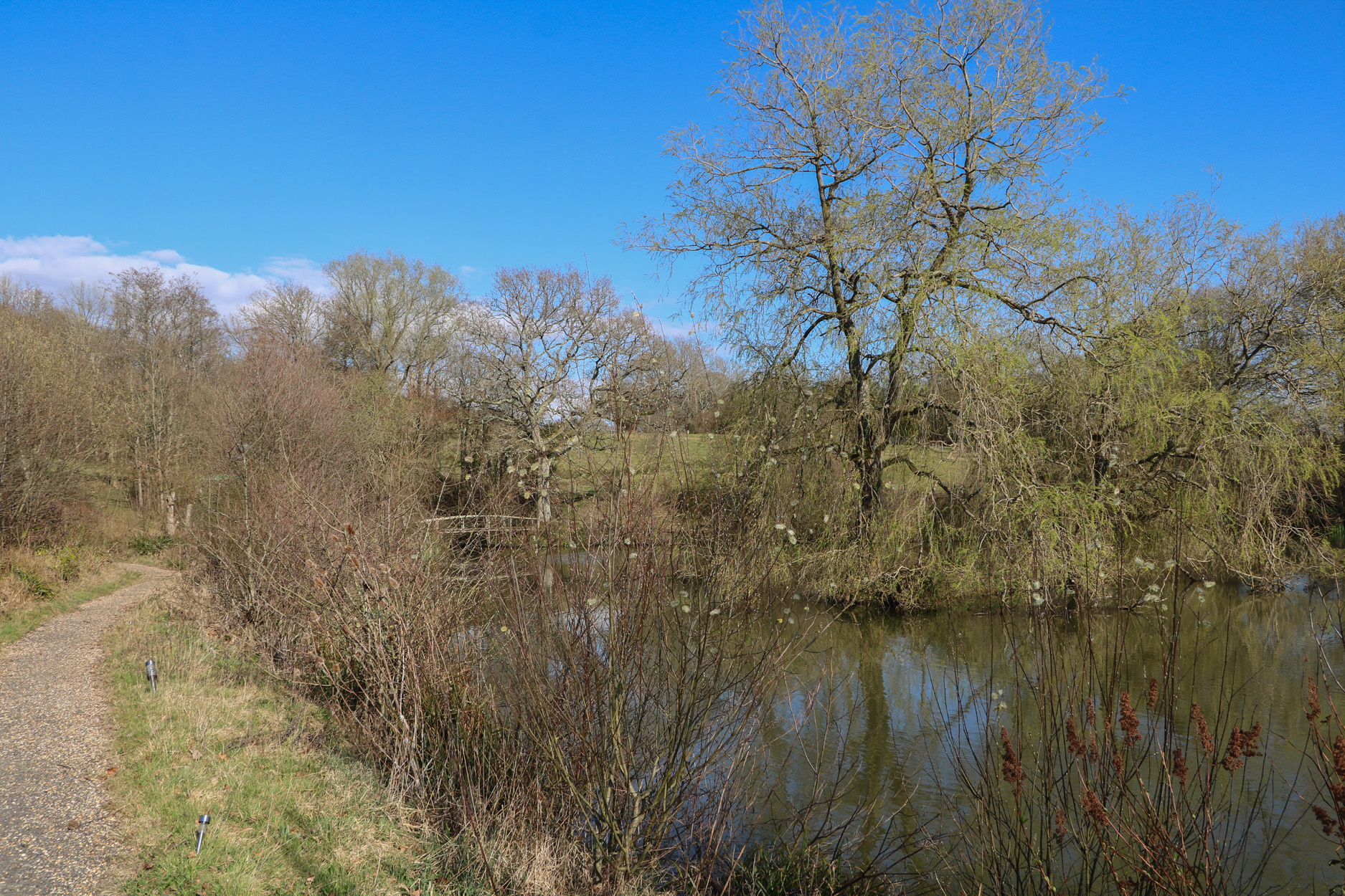 Property image 14 for SC1172203