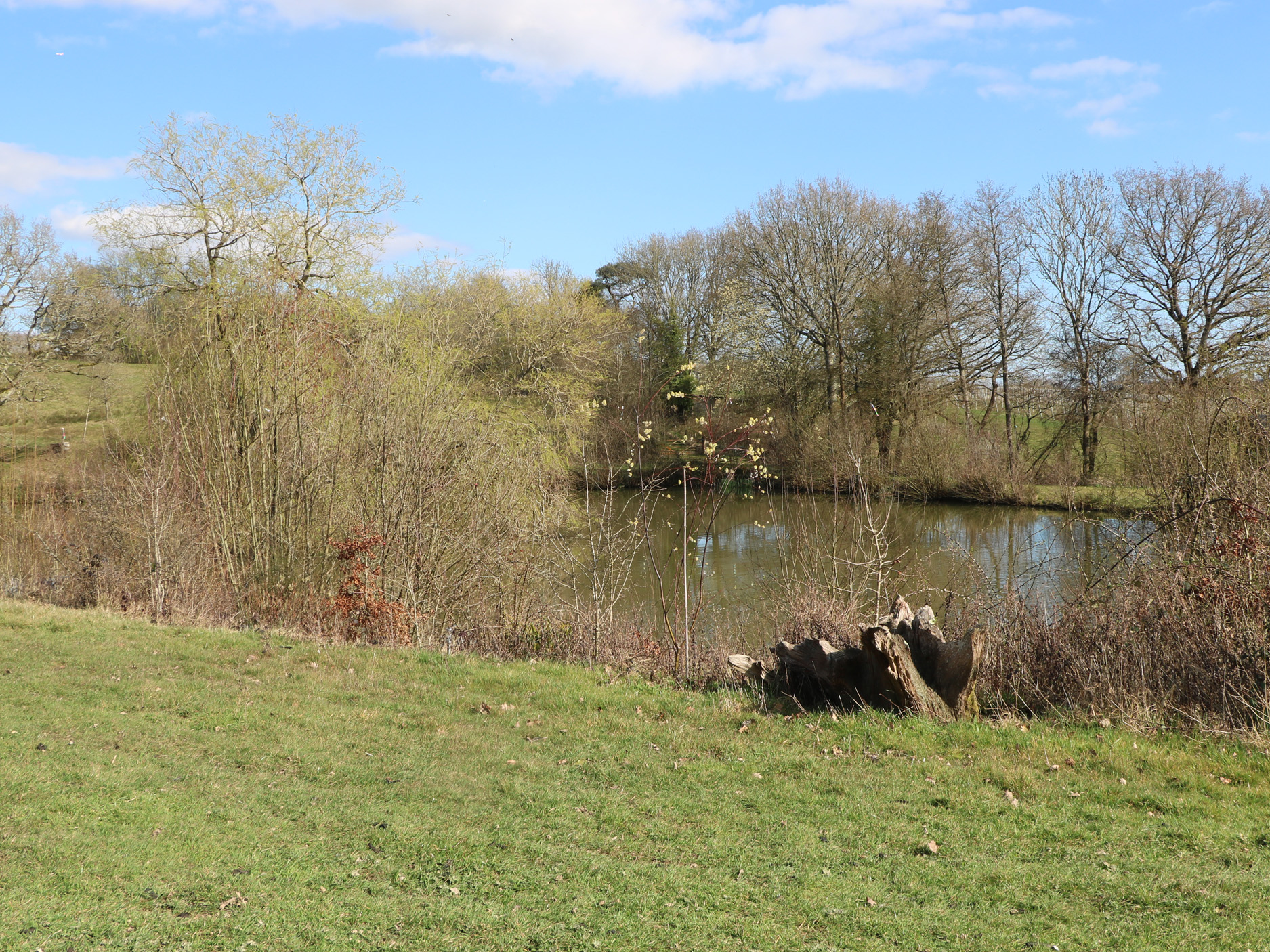 Property image 20 for SC1172203