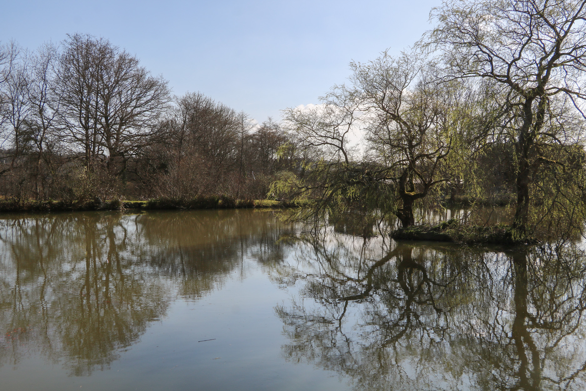 Property image 11 for SC1172204