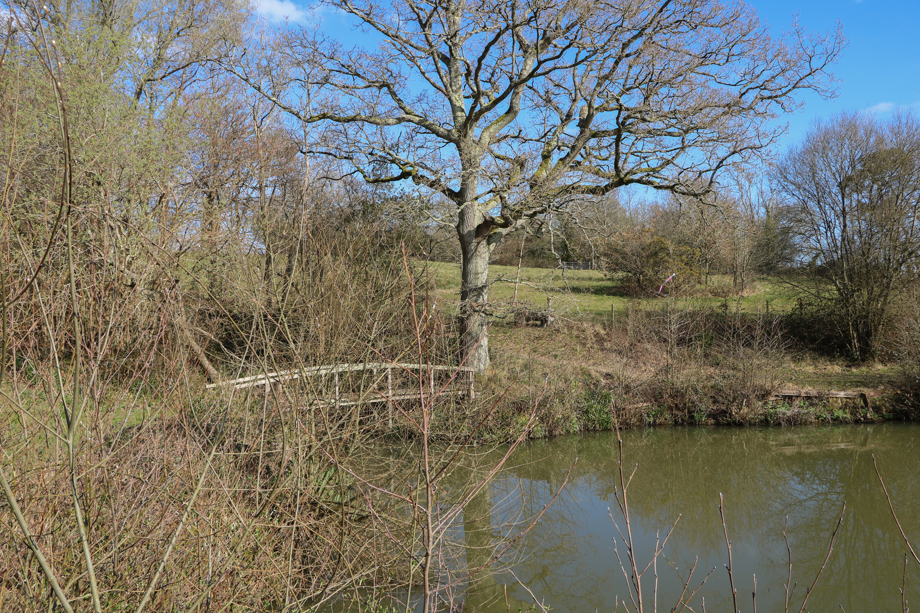 Property image 13 for SC1172204