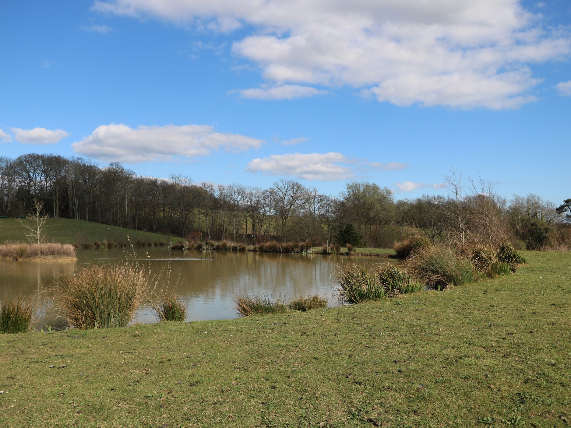 Property image 17 for SC1172204