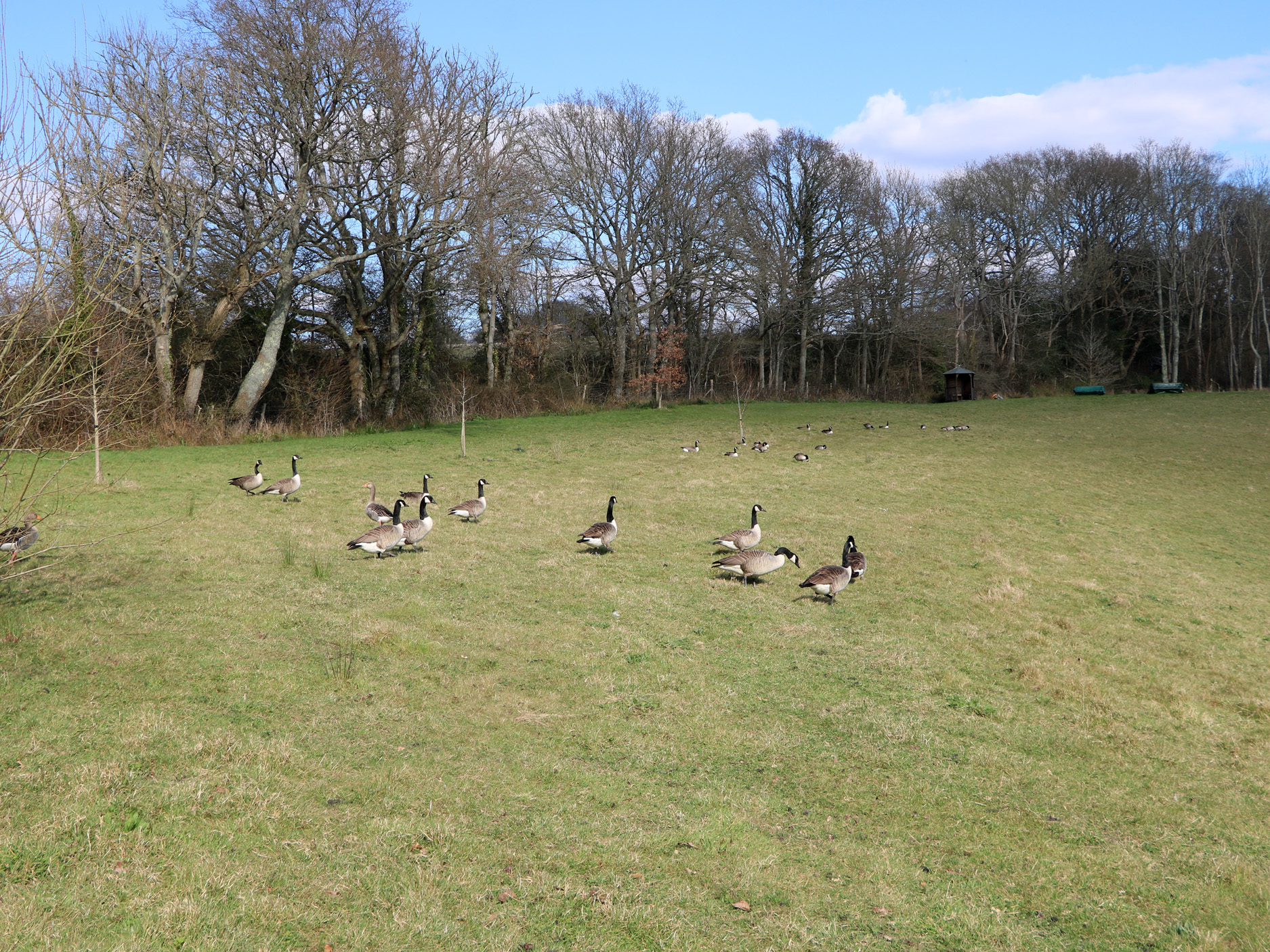 Property image 18 for SC1172204