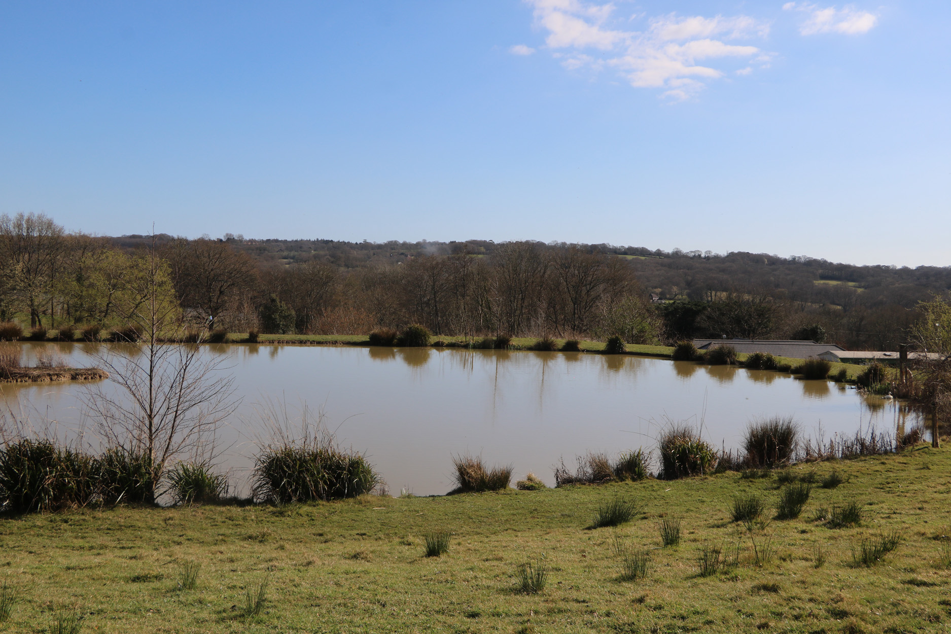 Property image 20 for SC1172204