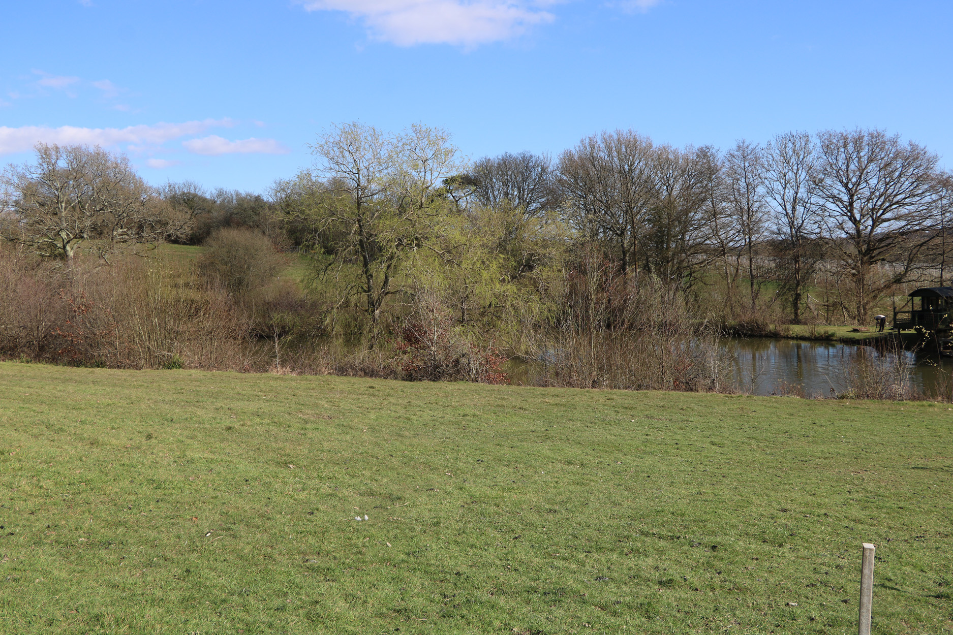 Property image 22 for SC1172204