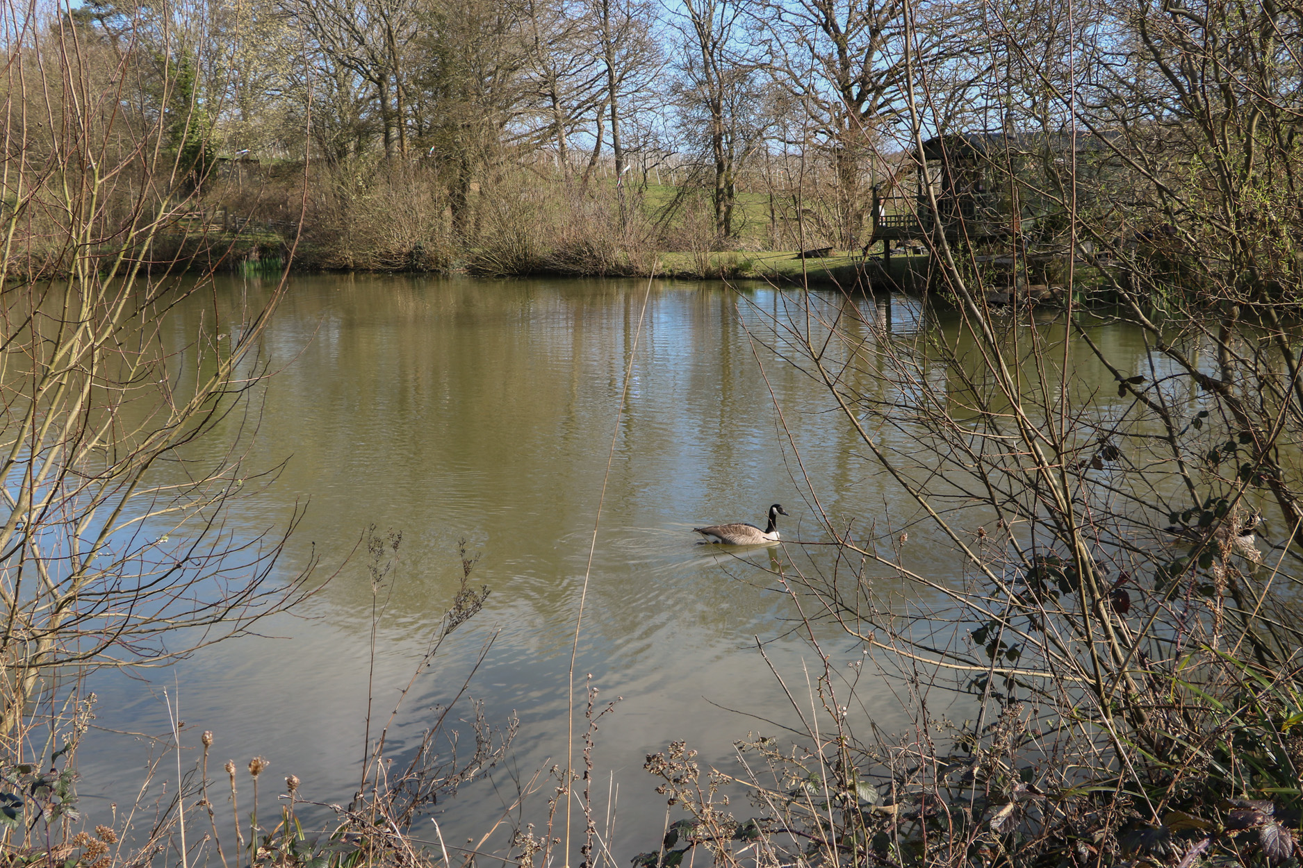 Property image 23 for SC1172204