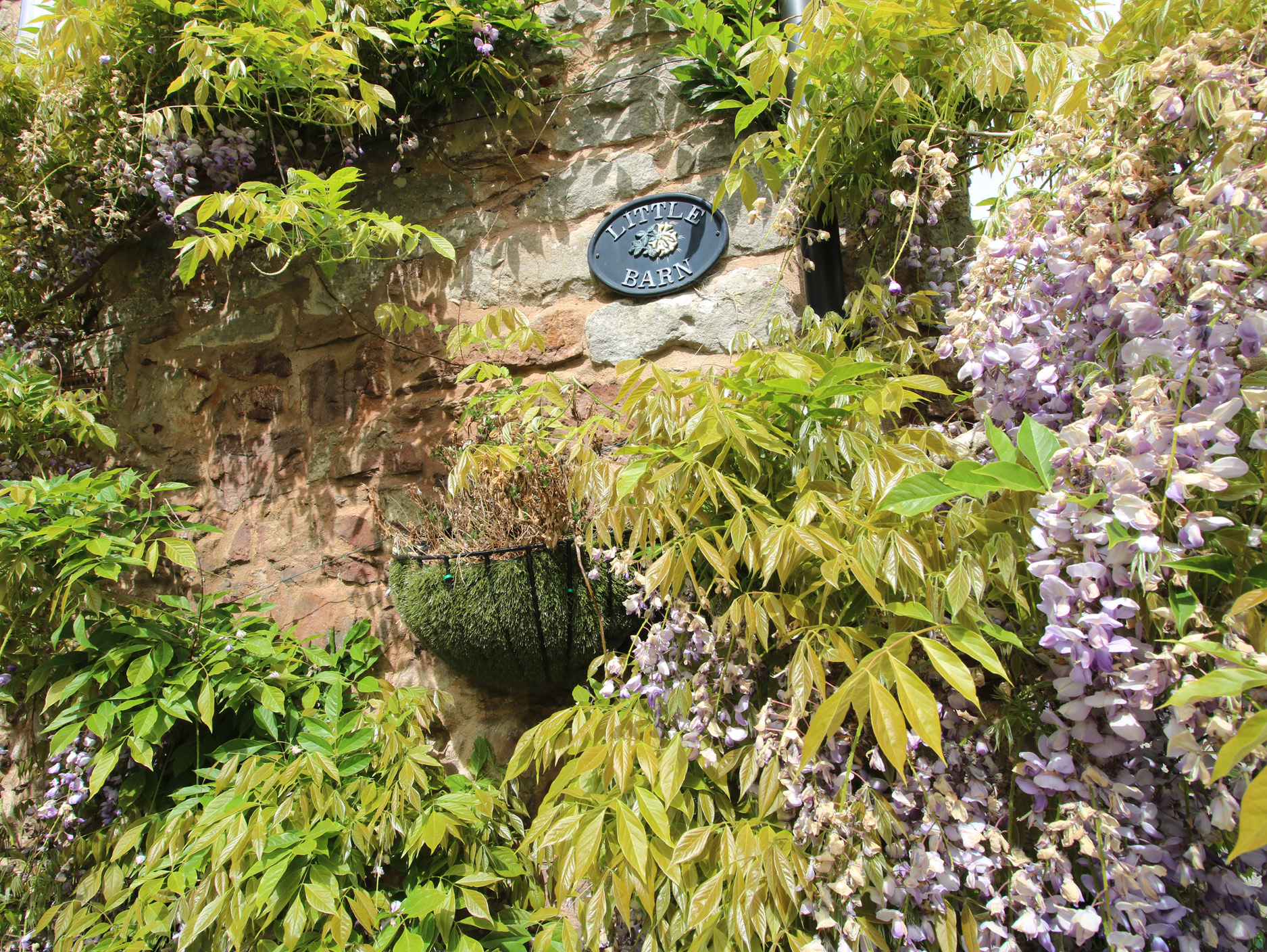 Property image 31 for SC1172562