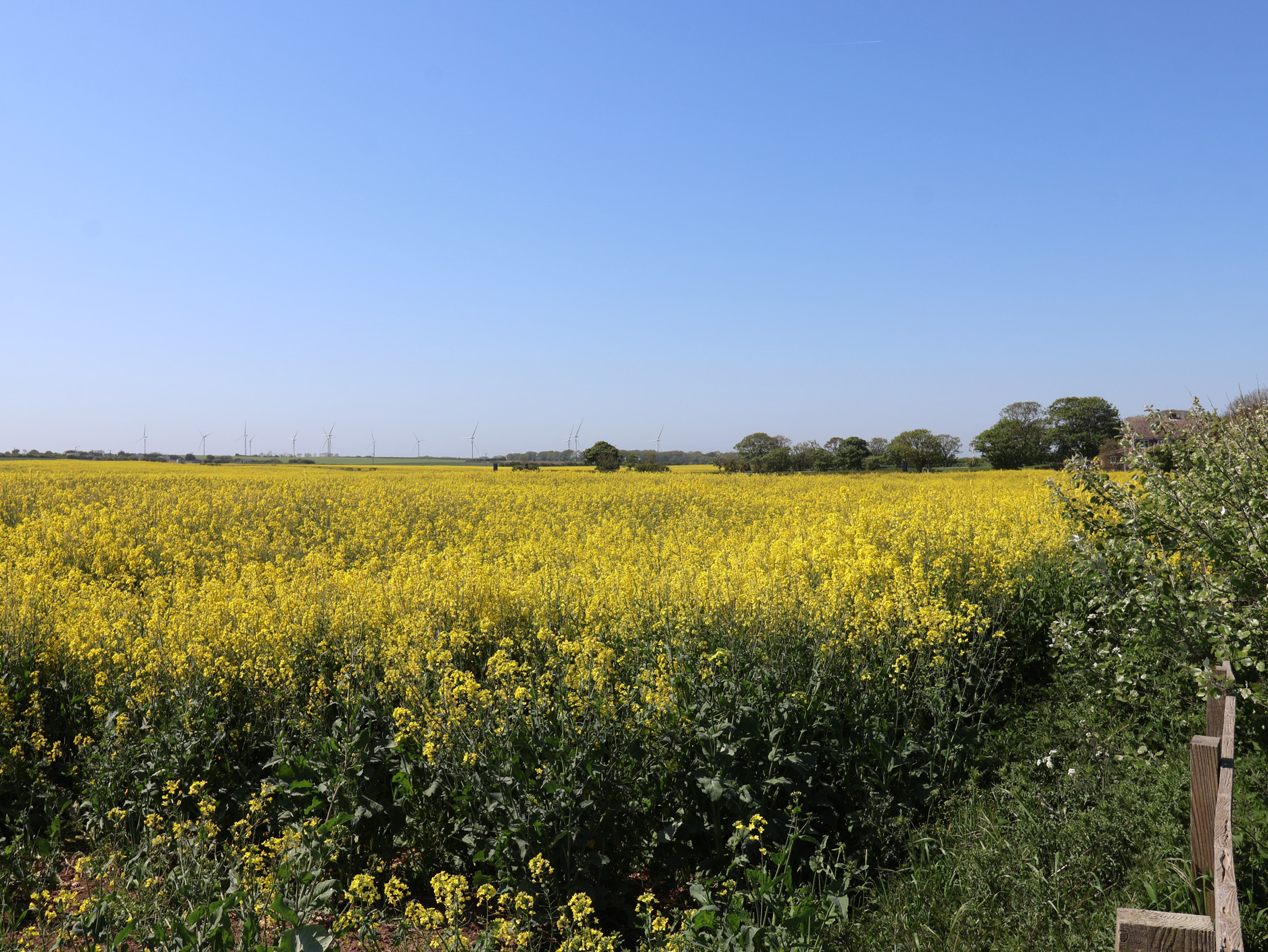 Property image 24 for SC1172592