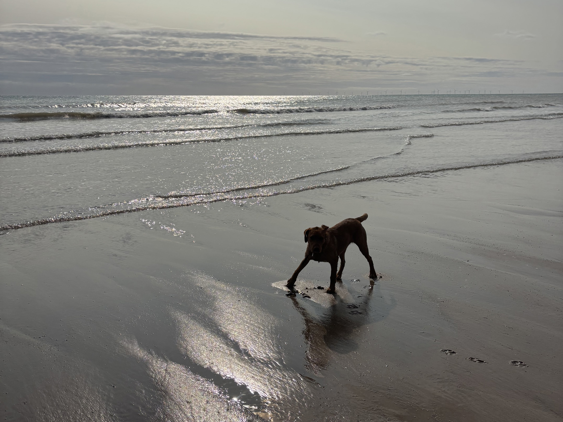 Property image 28 for SC1172592