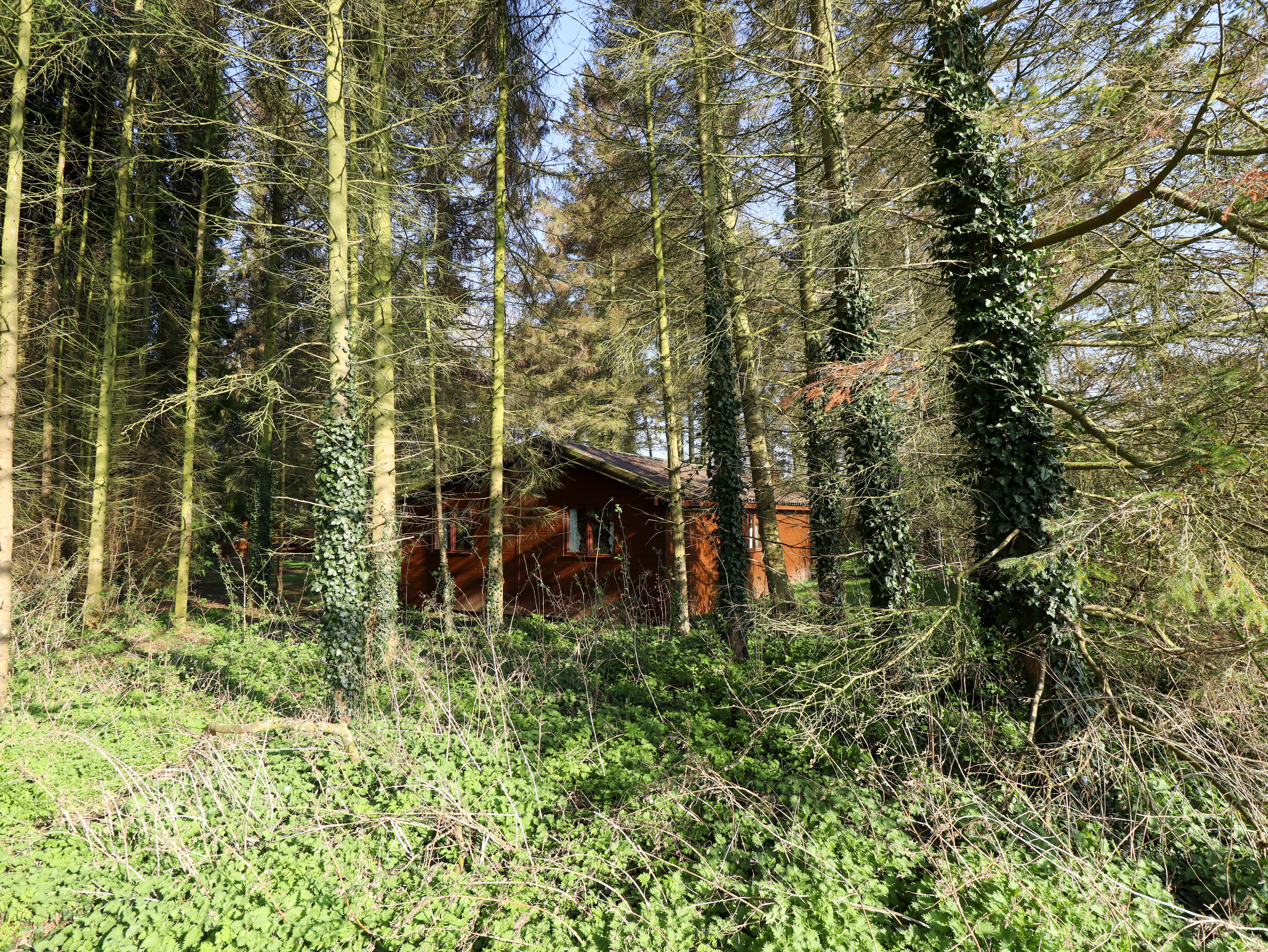 Property image 25 for SC1172648