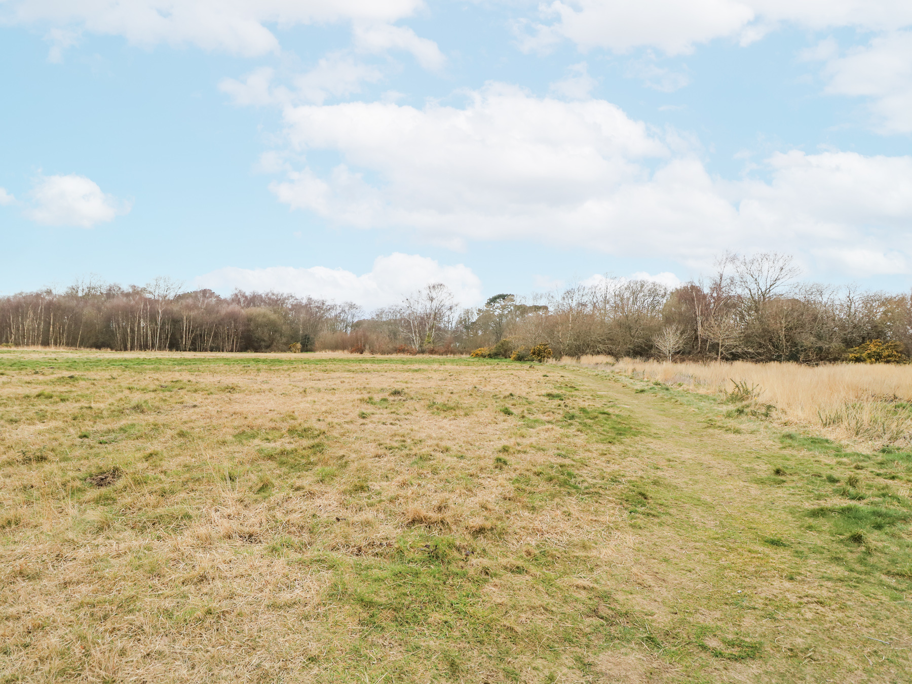 Property image 44 for SC1172653