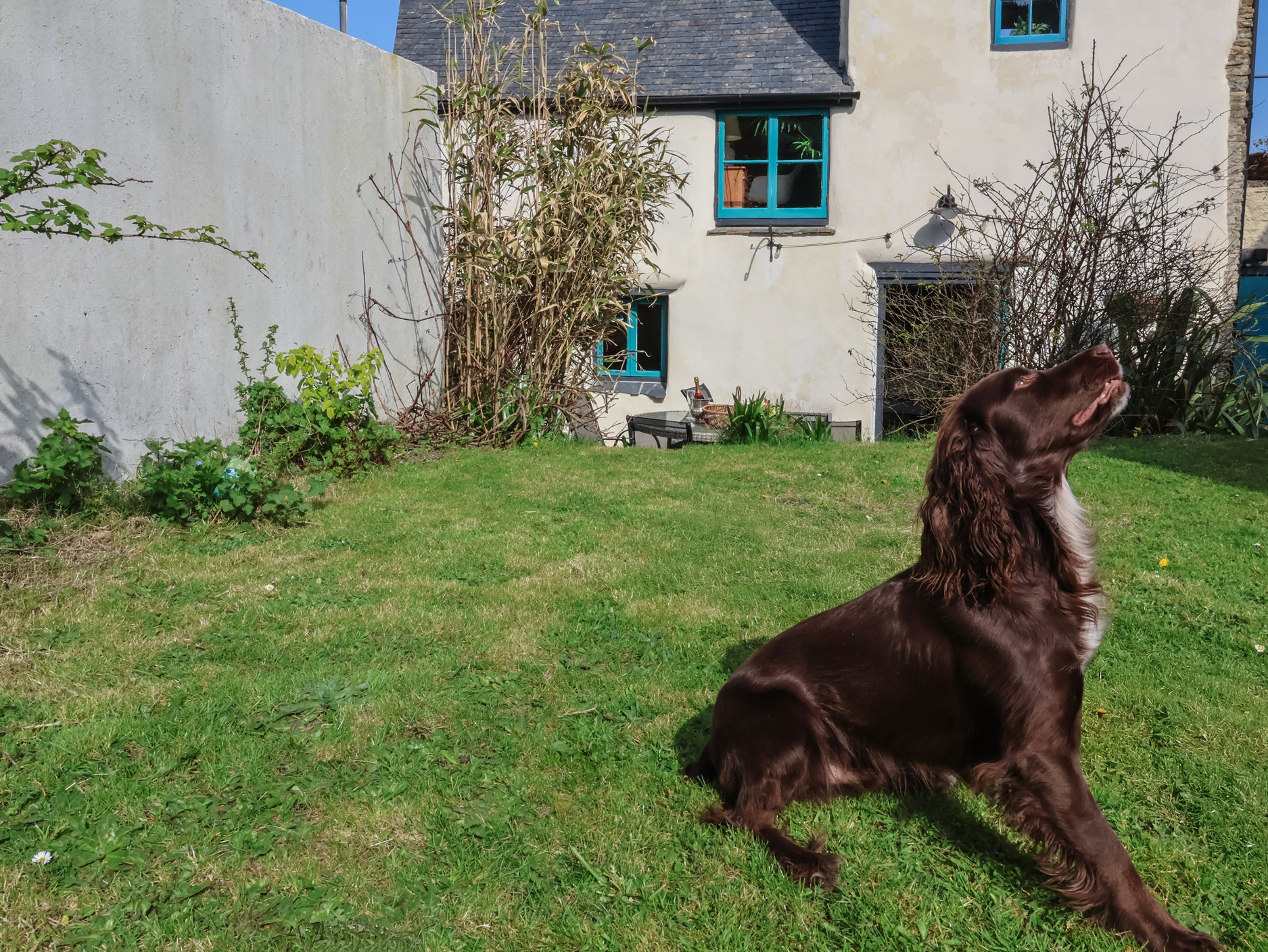 Property image 23 for SC1172656