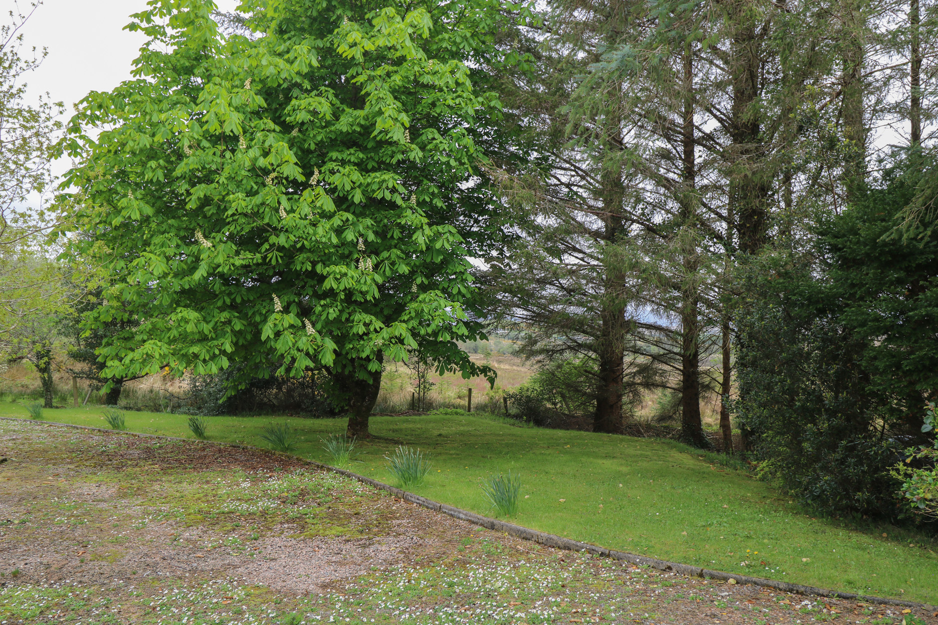 Property image 28 for SC1172693