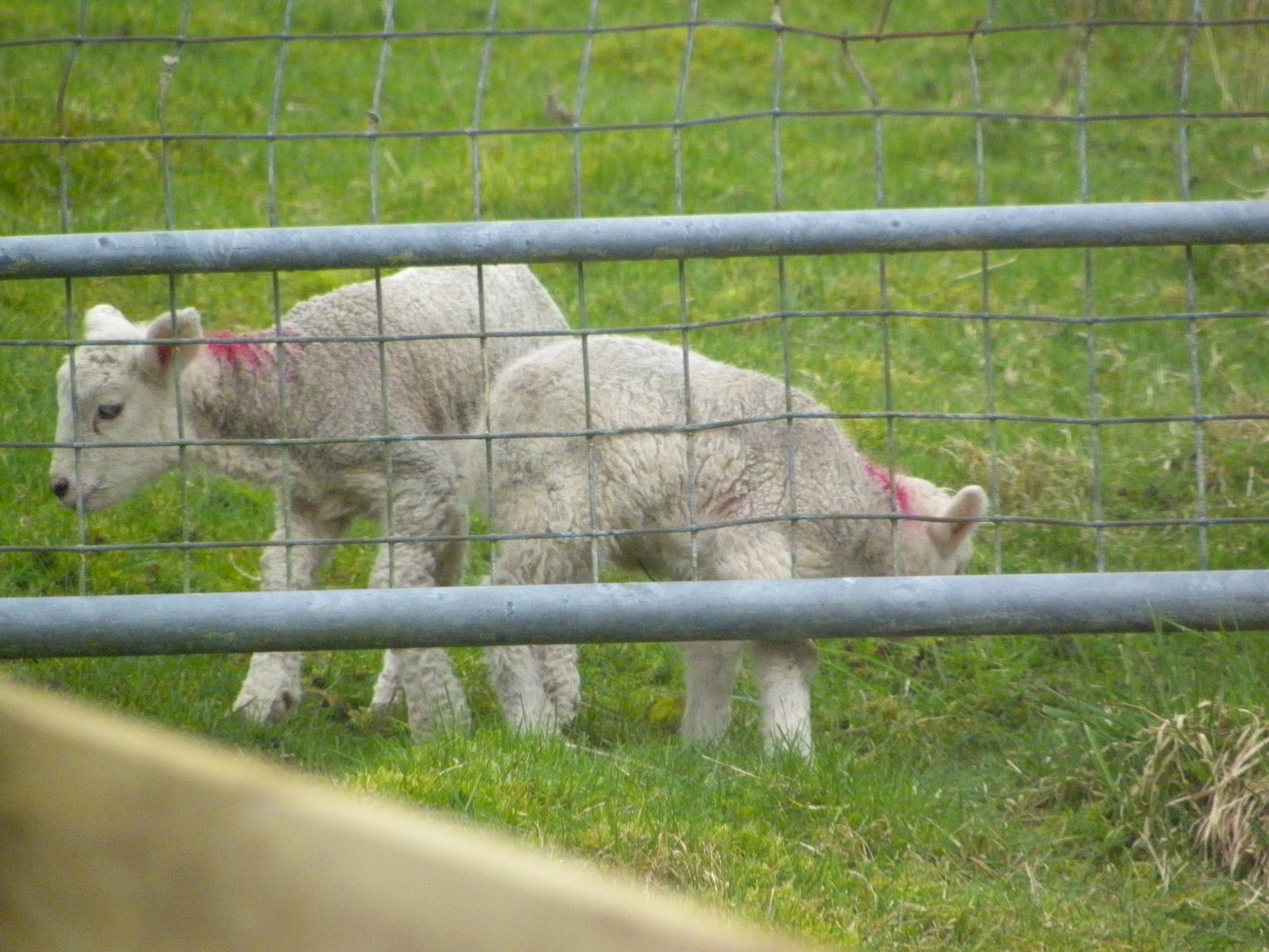 Property image 26 for SC1172749