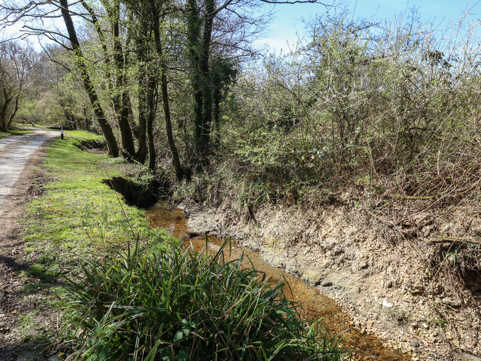 Property image 133 for SC1172799