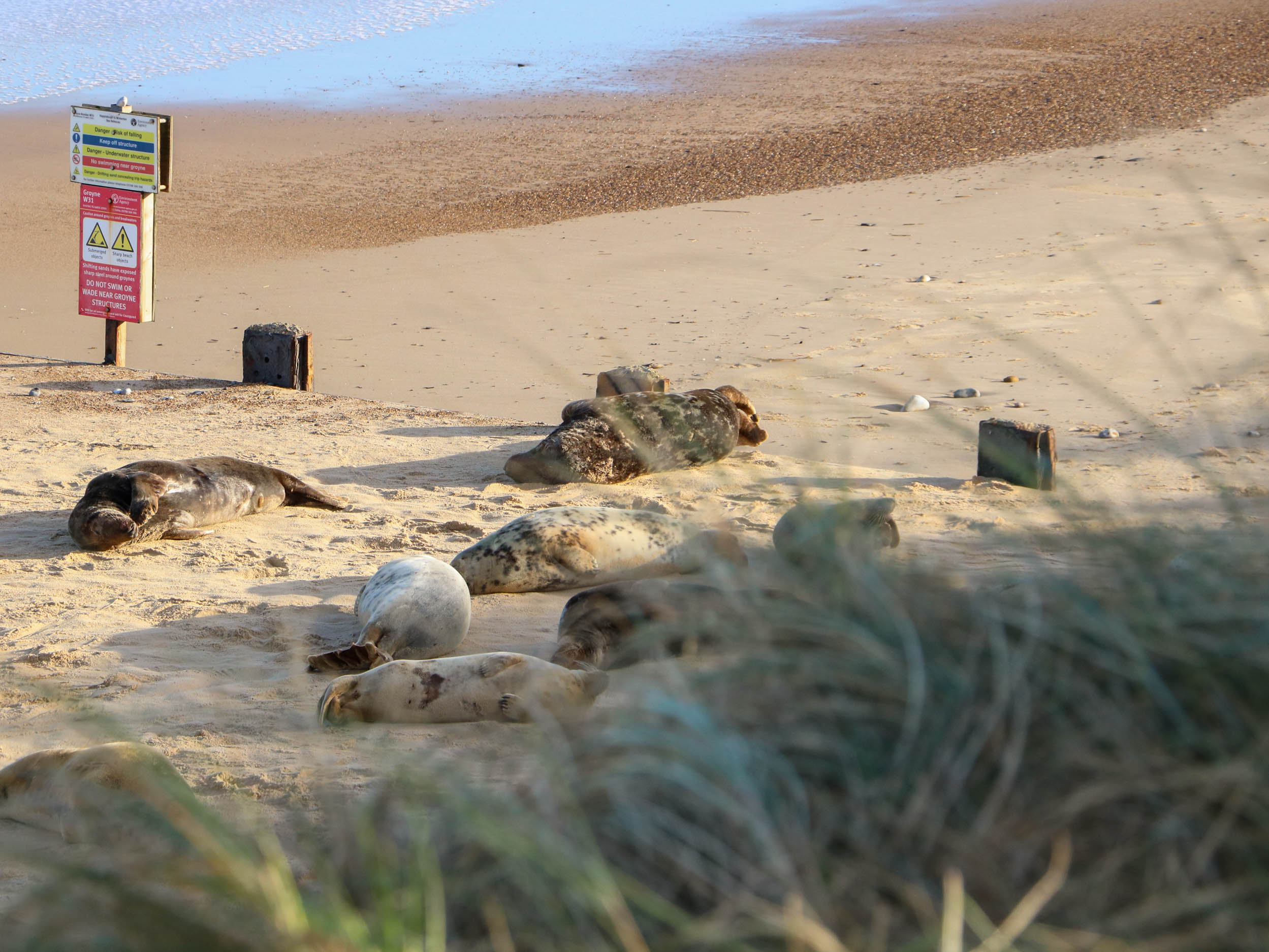 Property image 21 for SC1172912