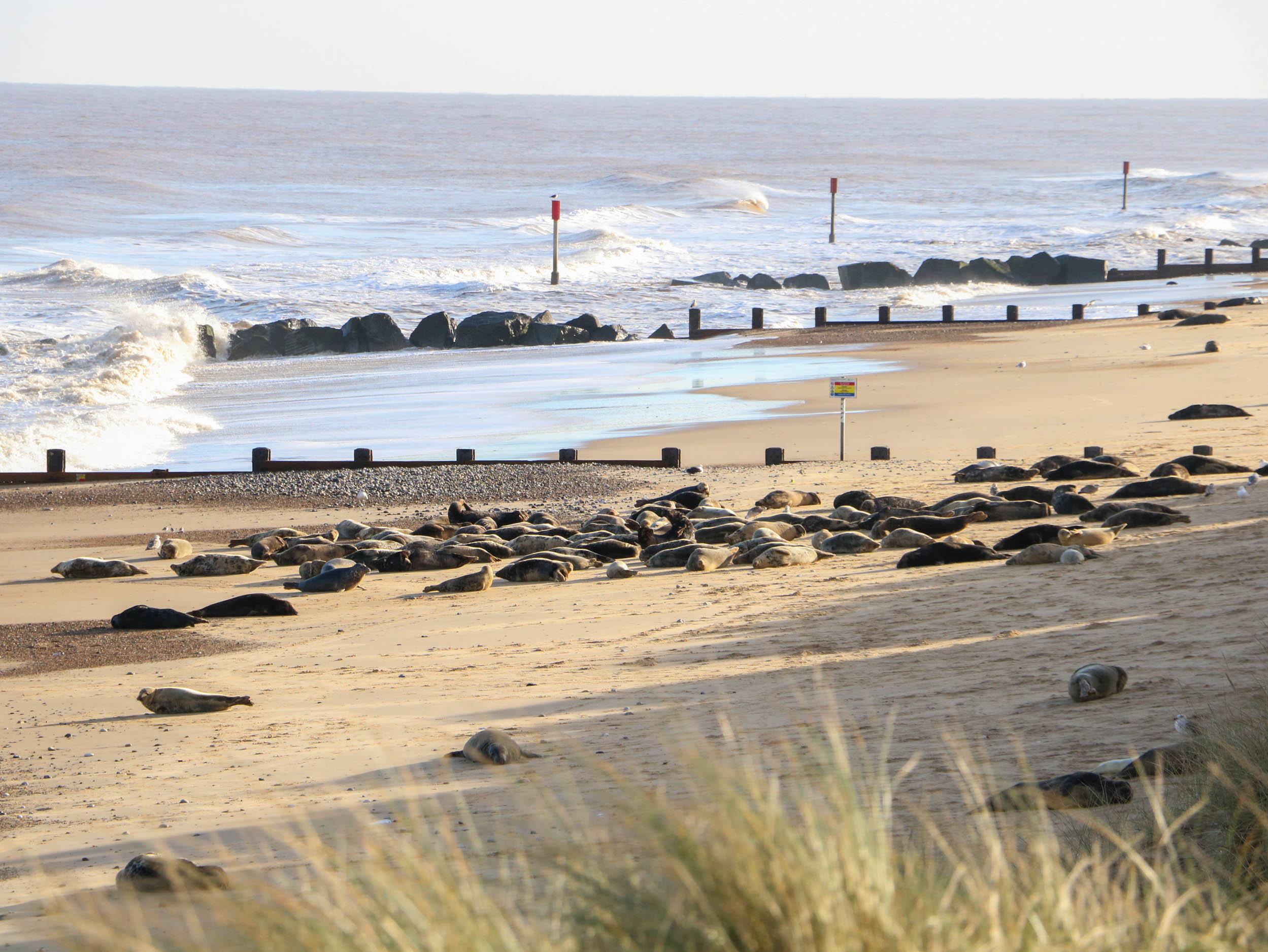 Property image 23 for SC1172912