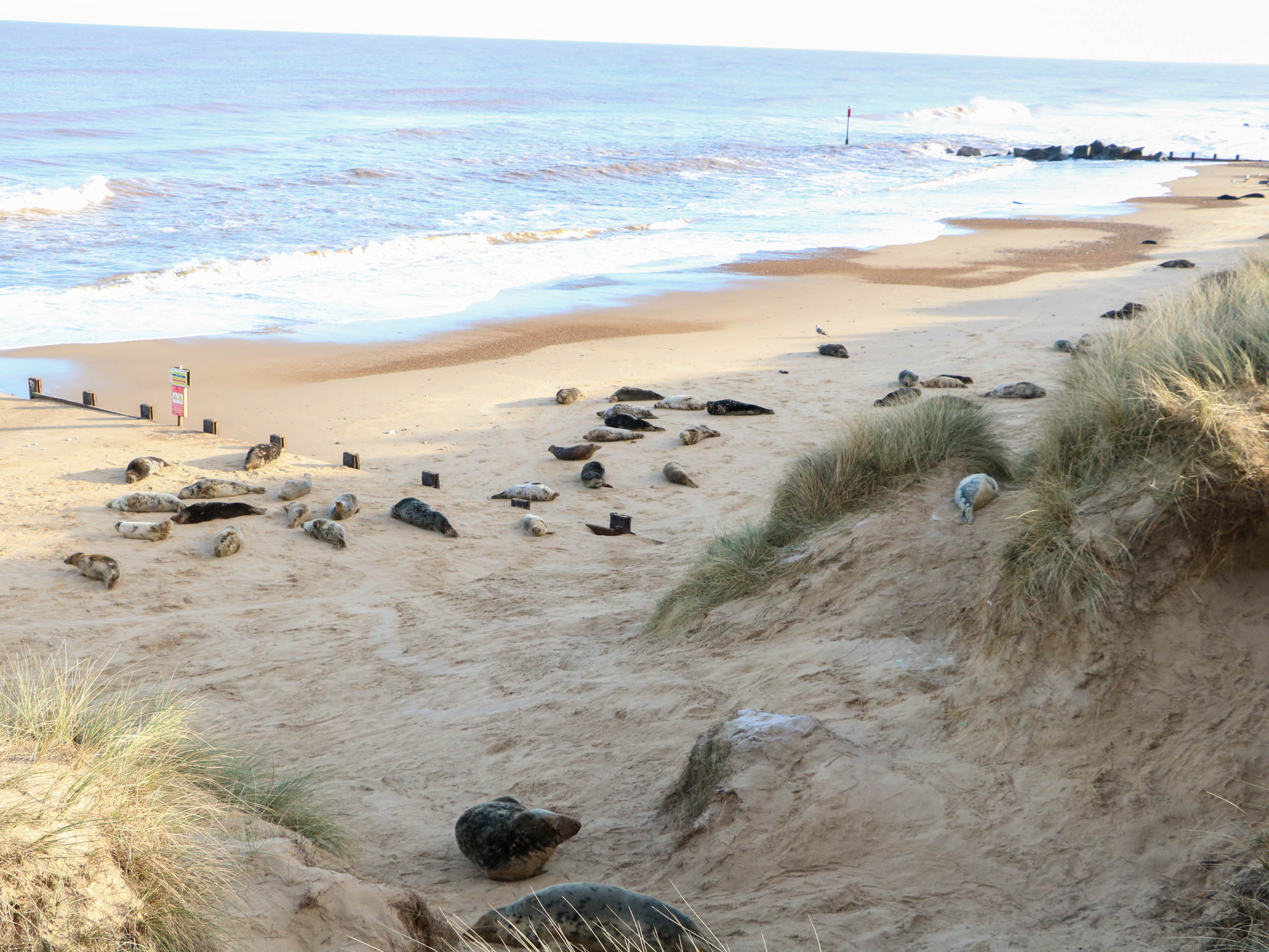 Property image 24 for SC1172912