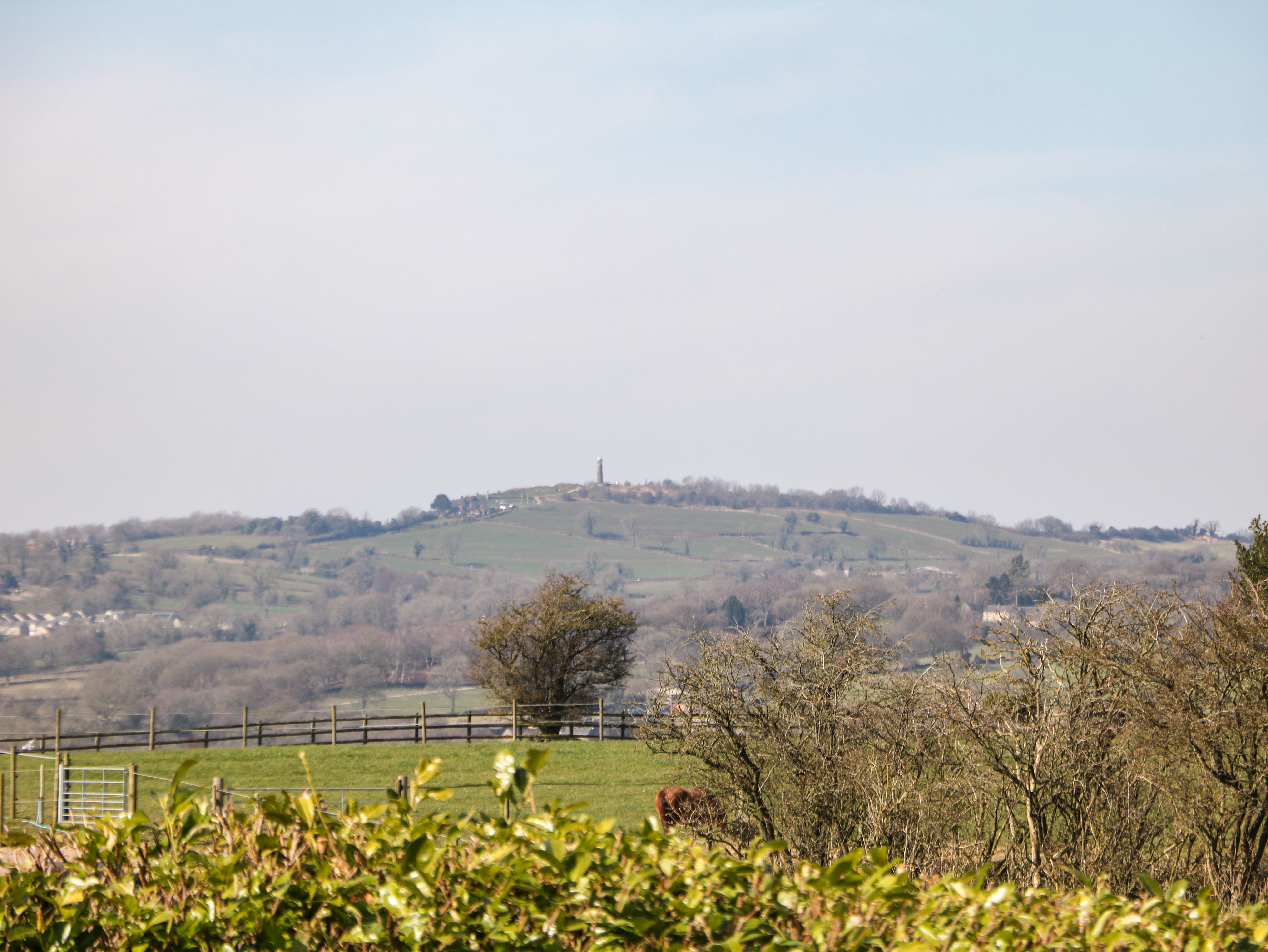 Property image 23 for SC1172968