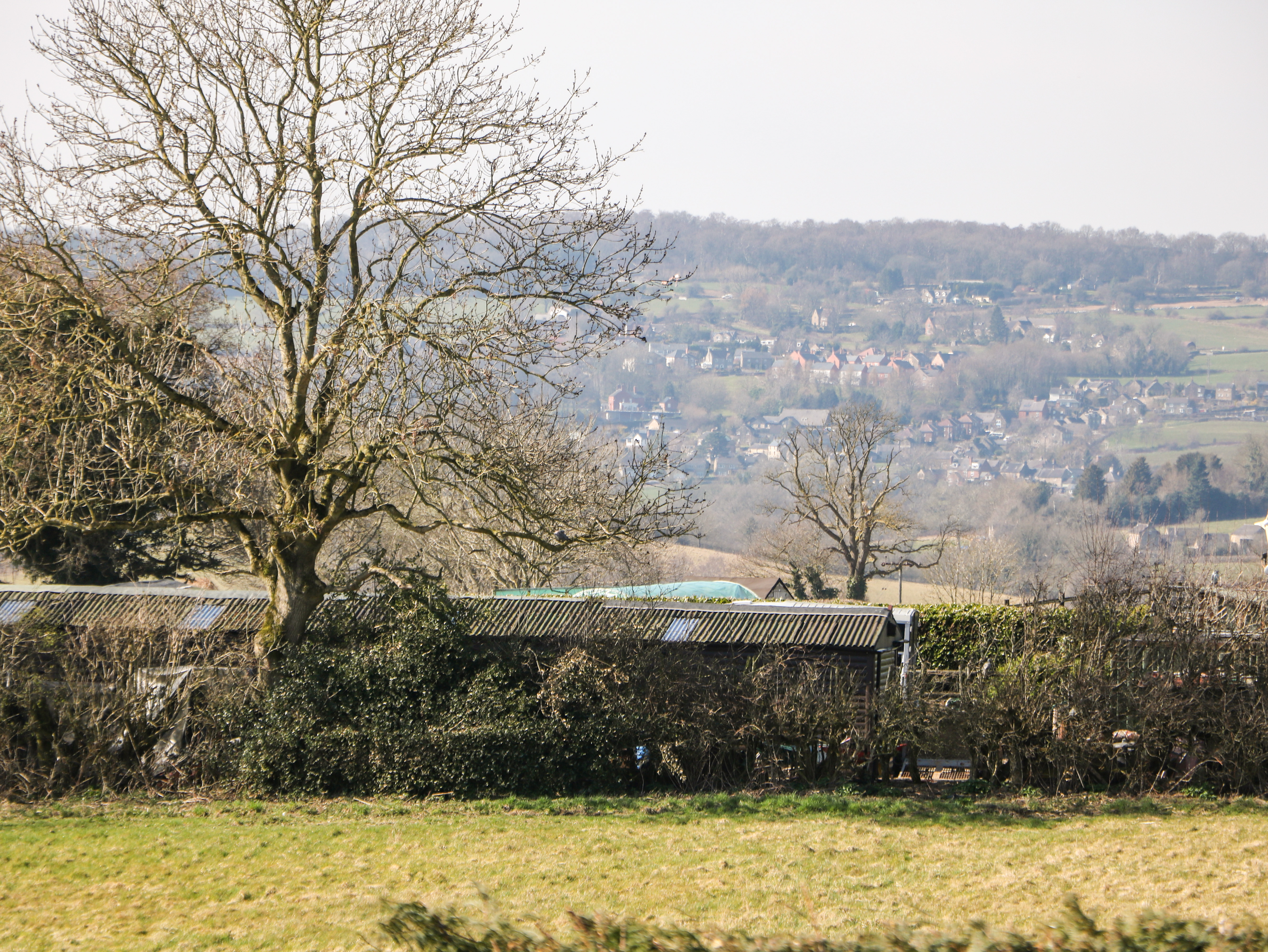 Property image 24 for SC1172968