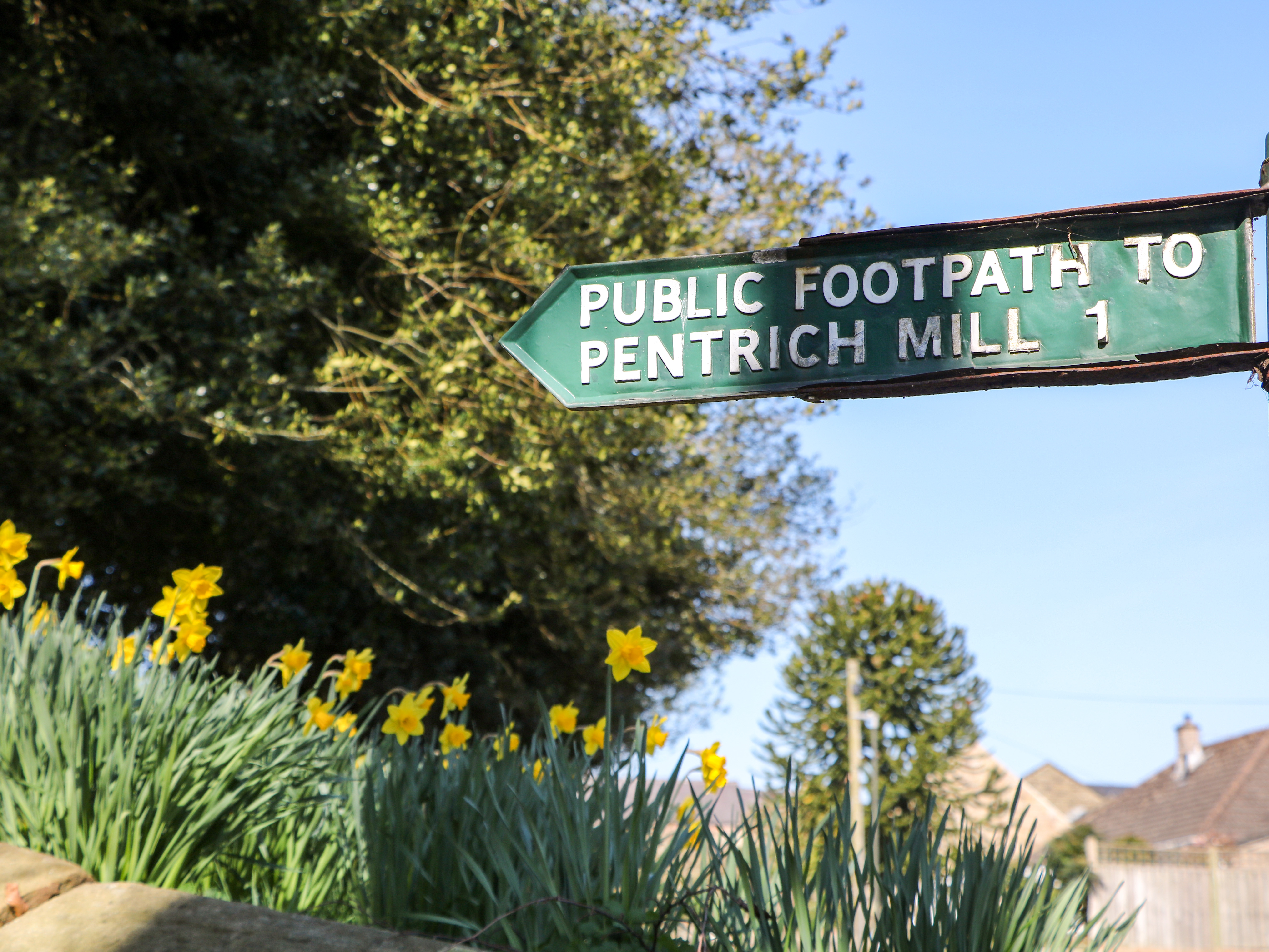 Property image 29 for SC1172968