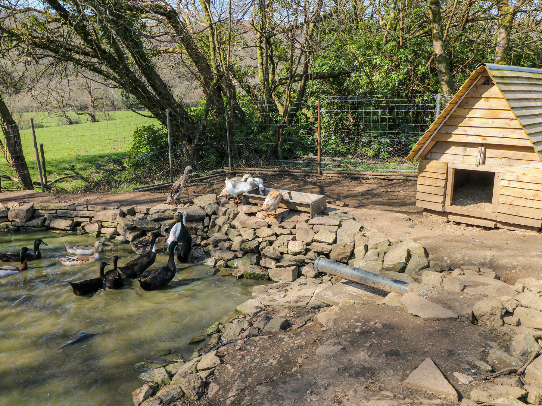 Property image 71 for SC1172979