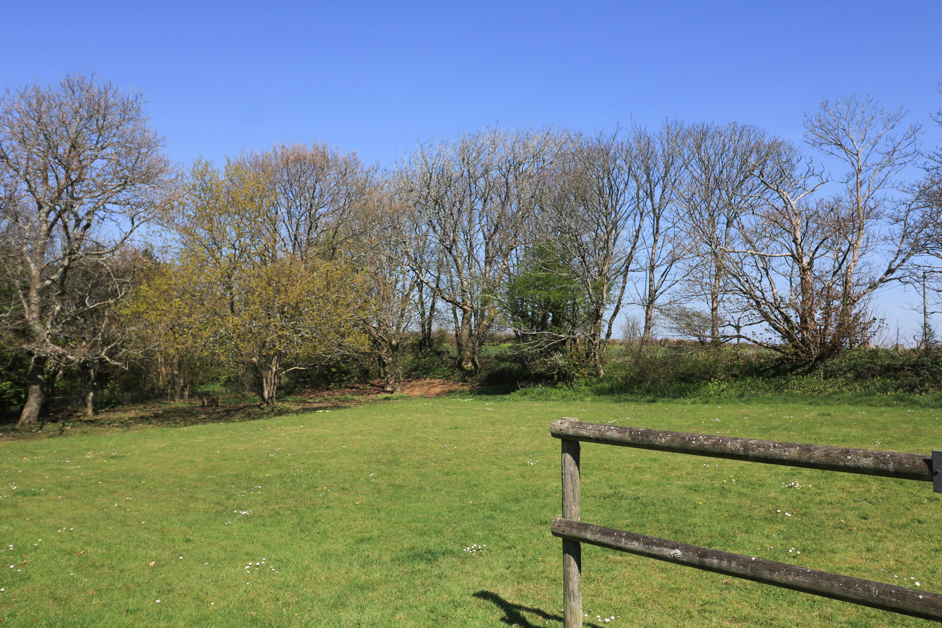 Property image 21 for SC1173082