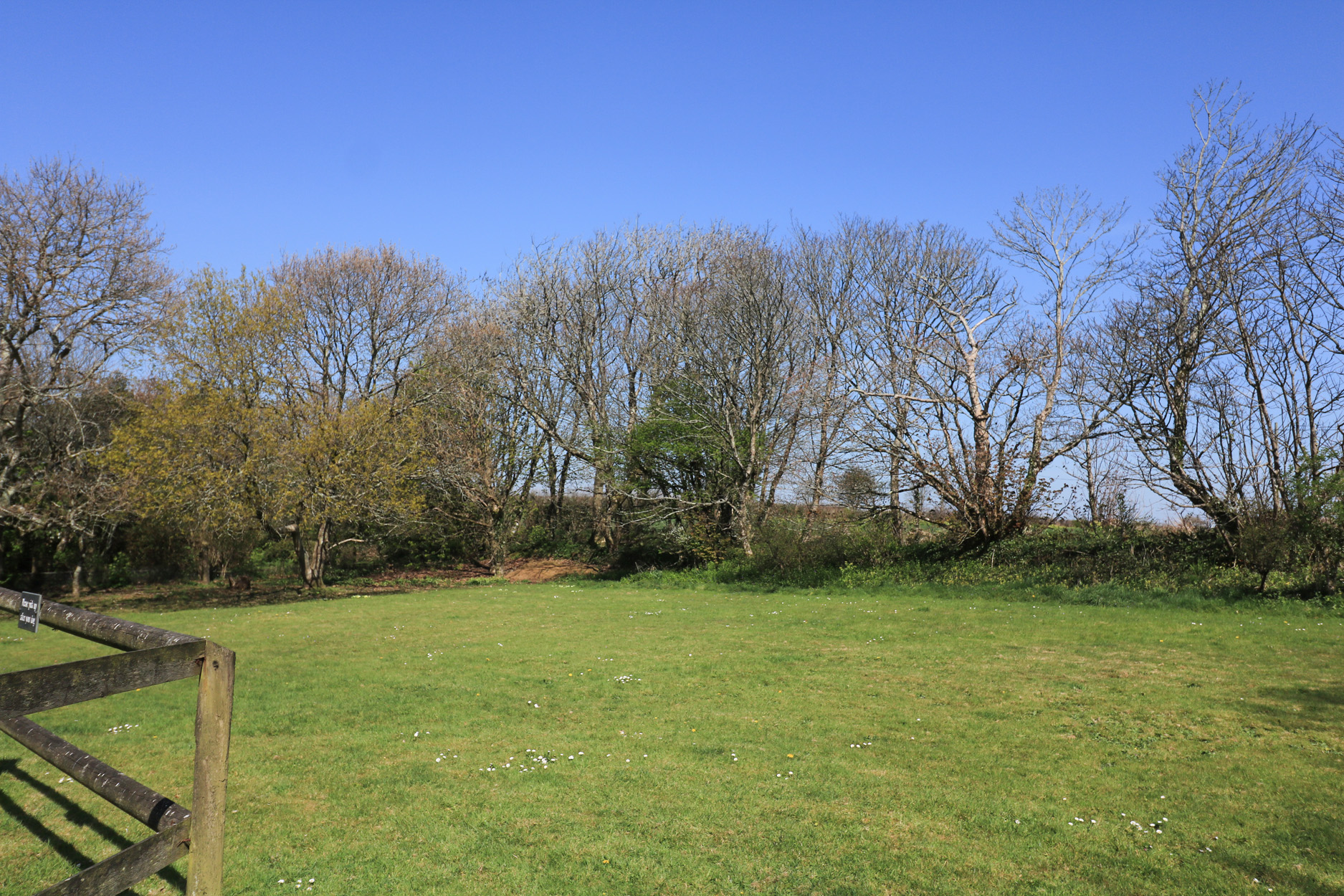 Property image 22 for SC1173082