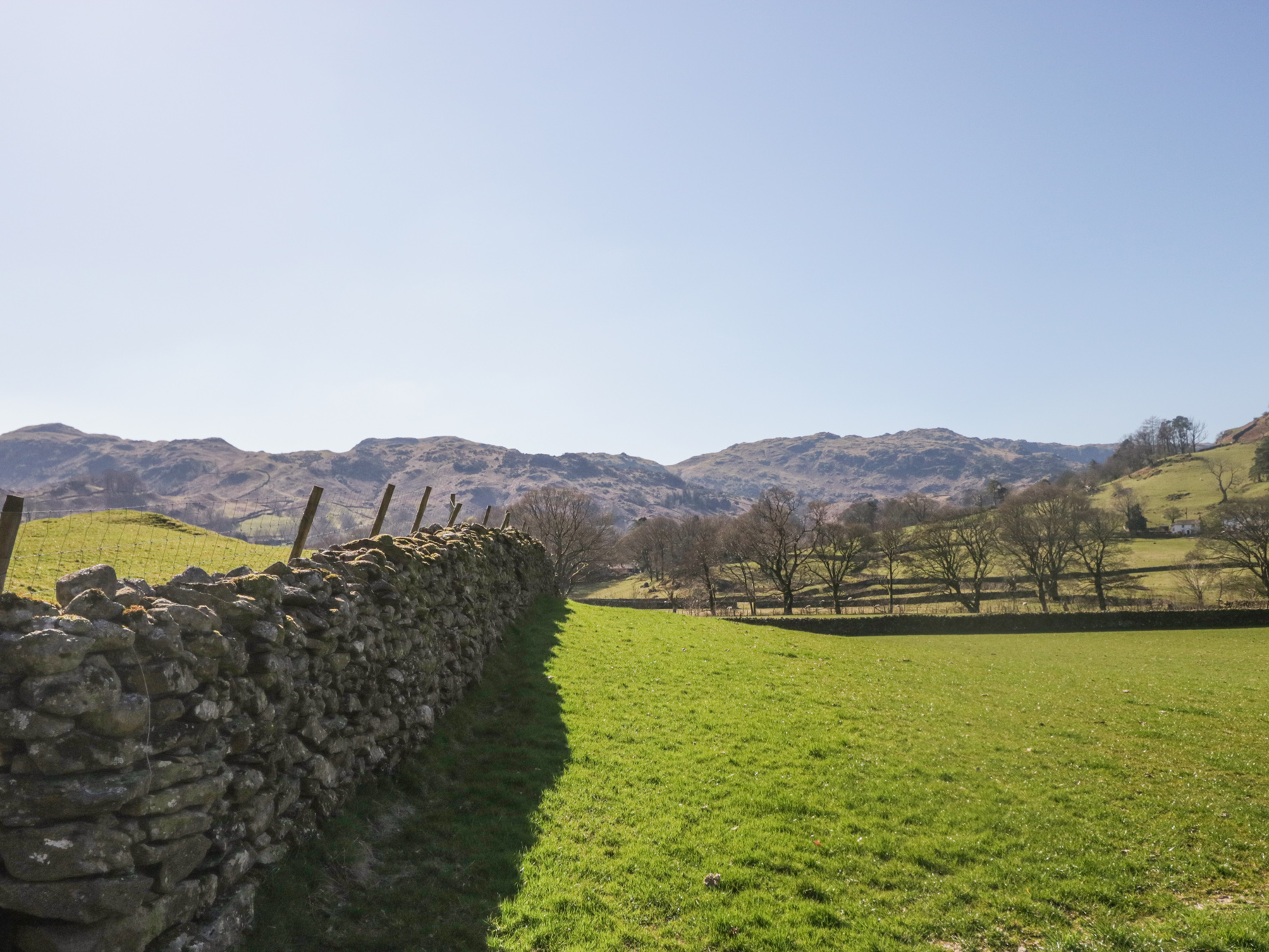 Property image 59 for SC1173482