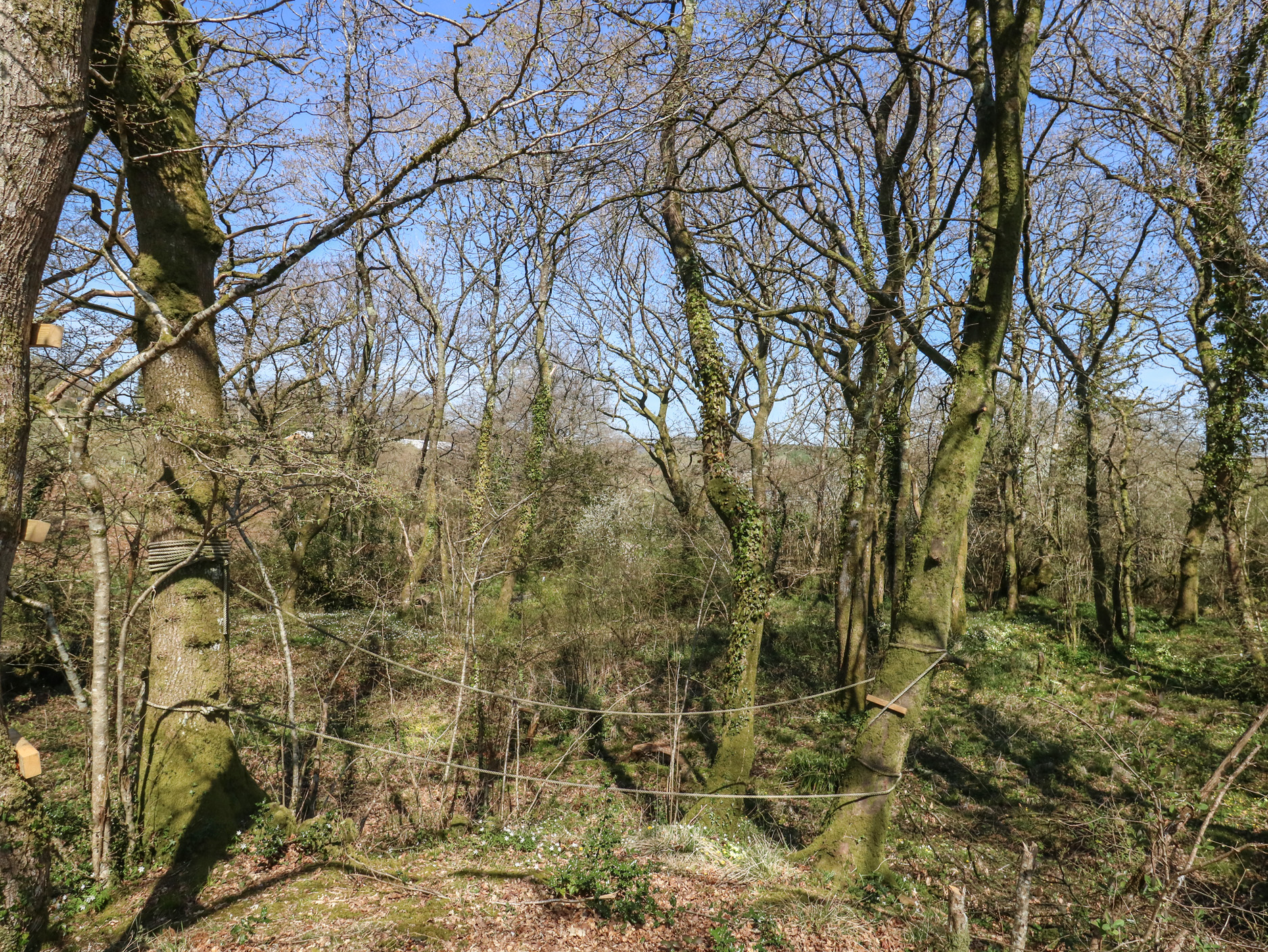 Property image 73 for SC1173576