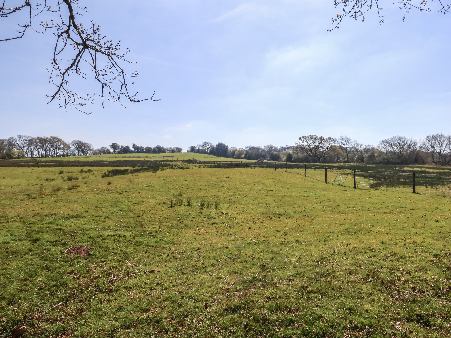 Property image 76 for SC1173576