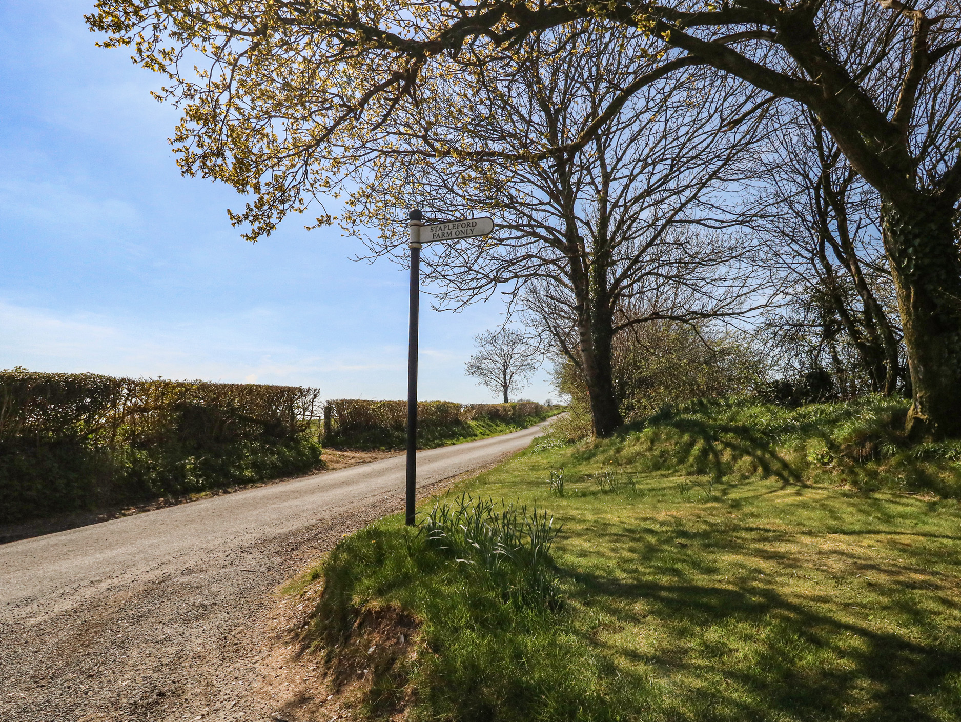 Property image 78 for SC1173576