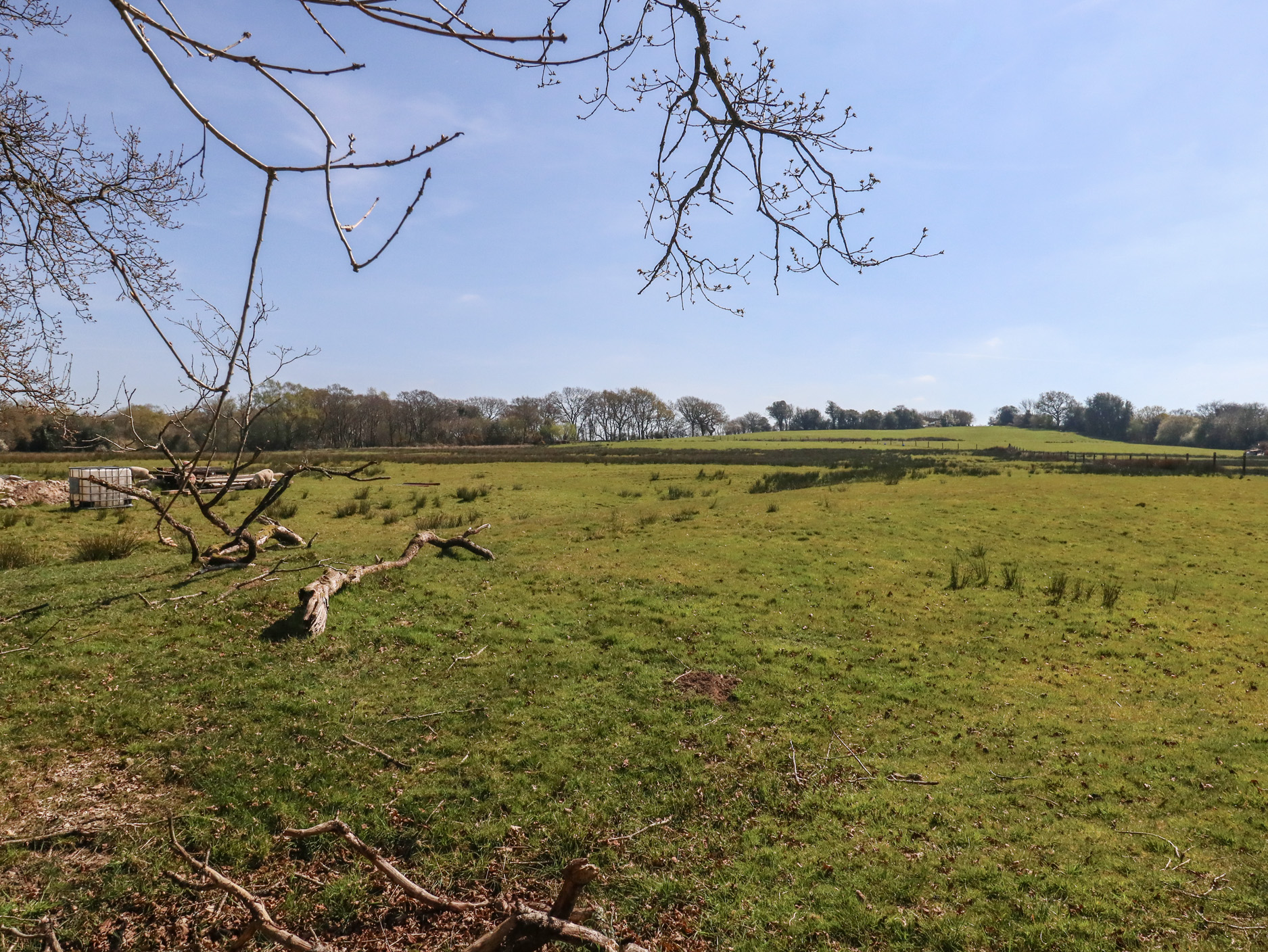 Property image 55 for SC1173577