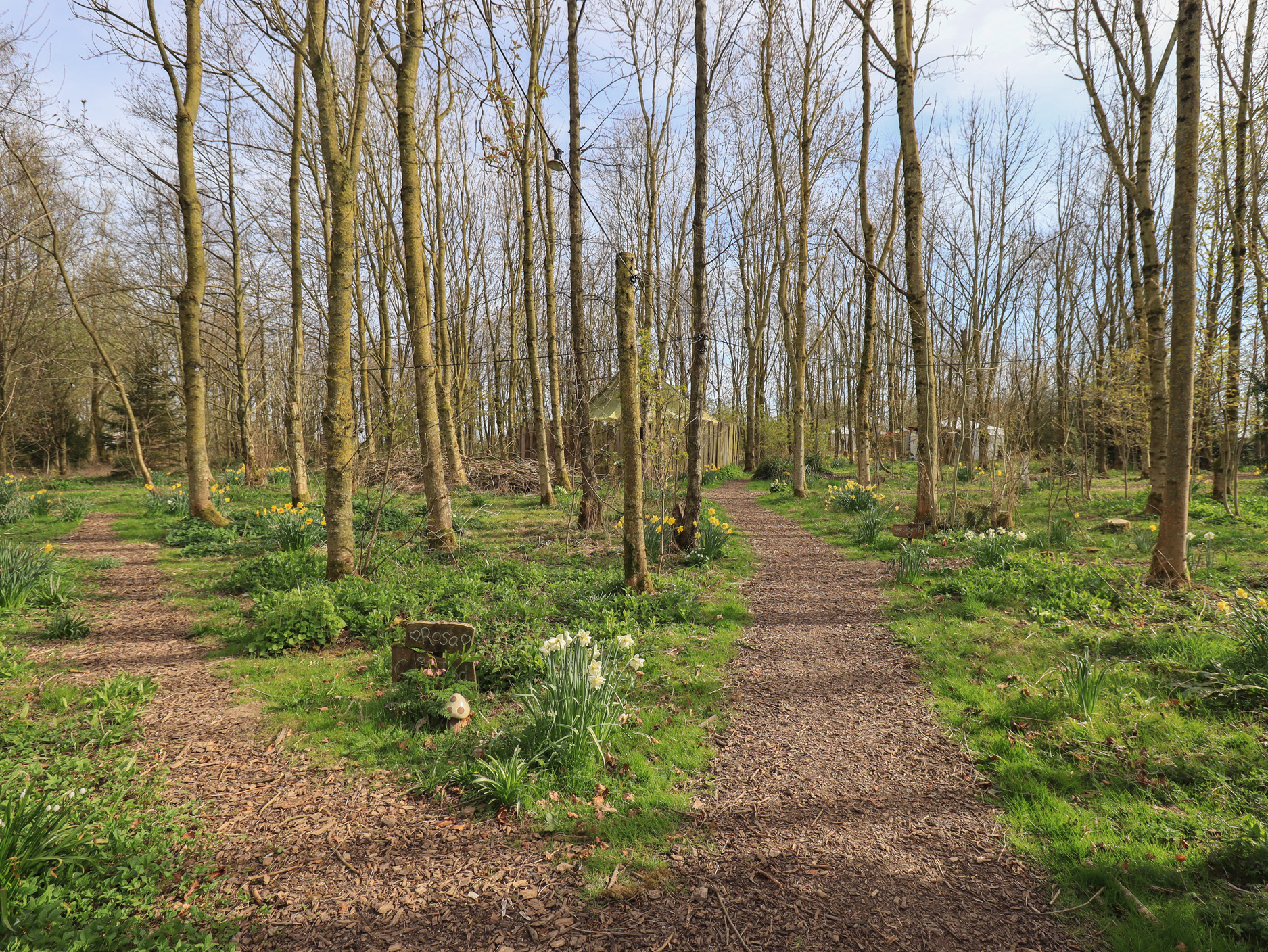 Property image 17 for SC1173690