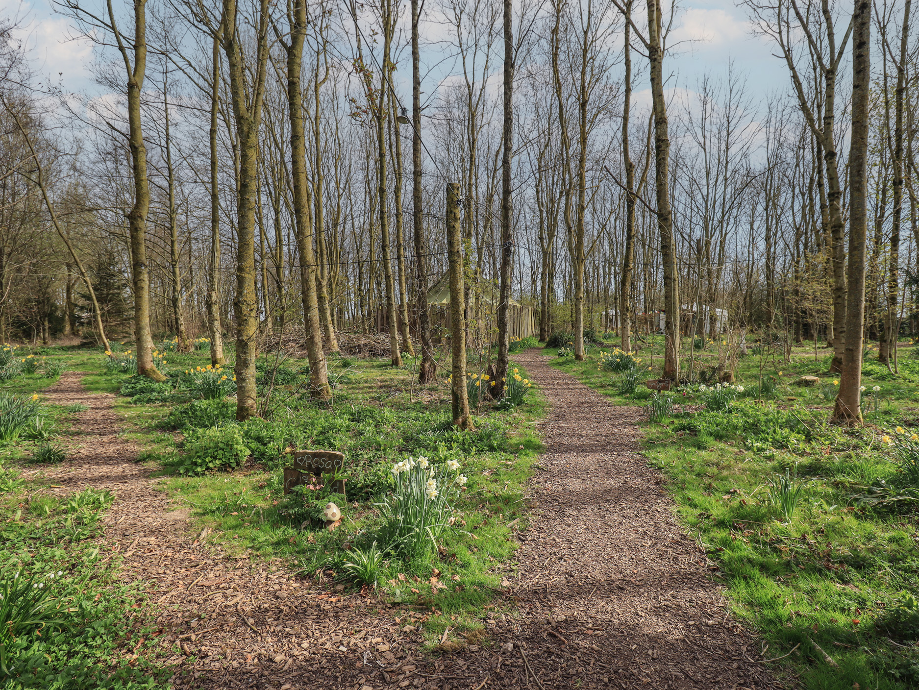 Property image 18 for SC1173690